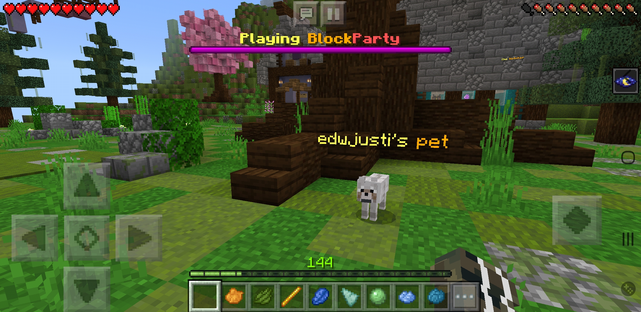 Screenshot_20200523-170216_Minecraft.jpg