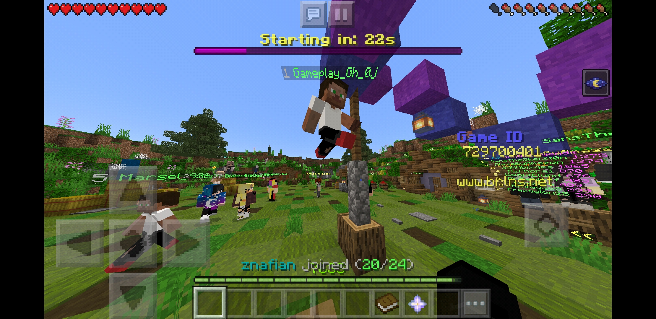 Screenshot_20200527-074009_Minecraft.jpg