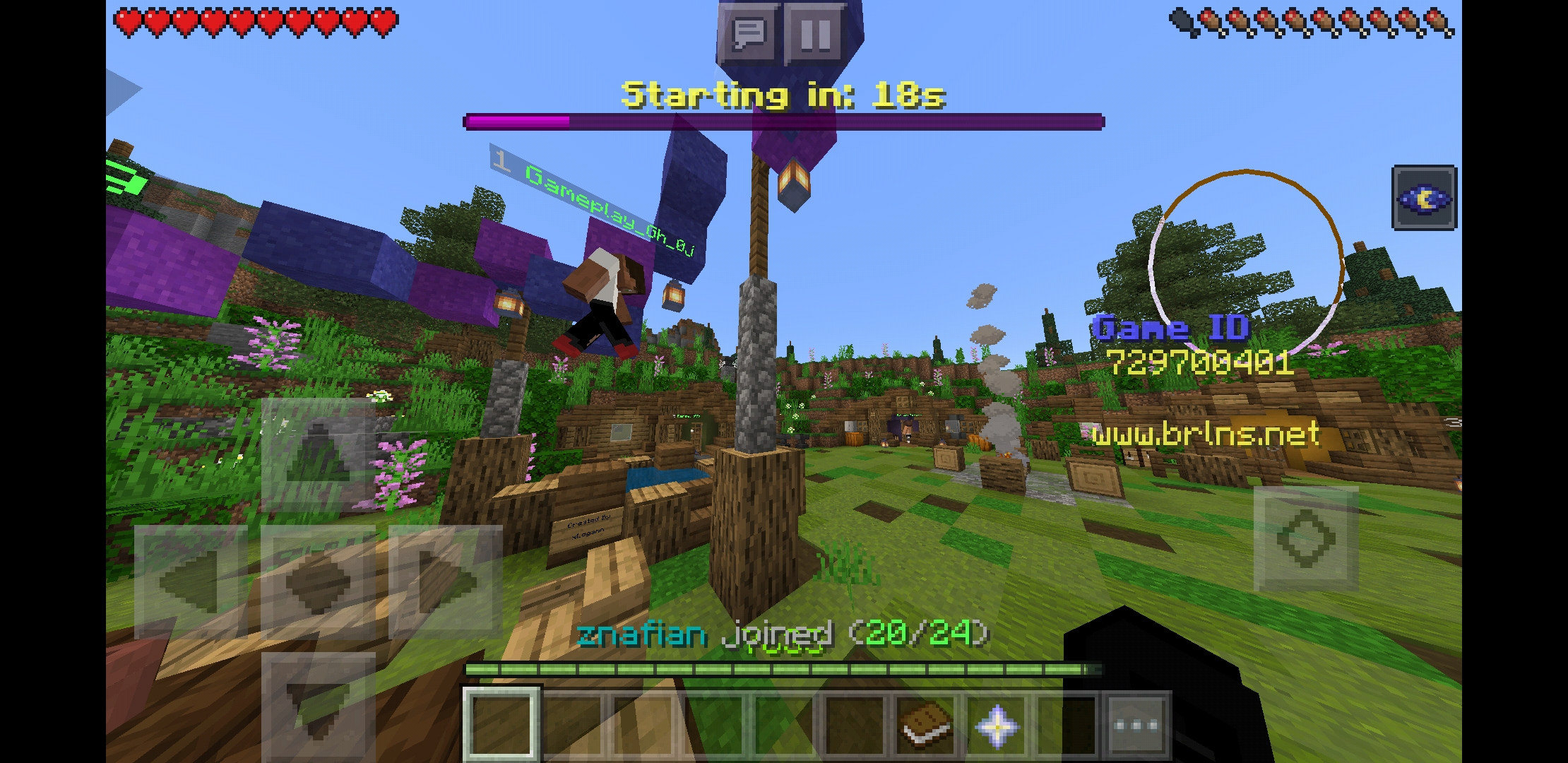Screenshot_20200527-074013_Minecraft.jpg