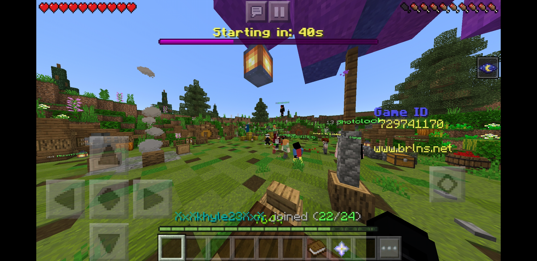 Screenshot_20200529-045012_Minecraft.jpg