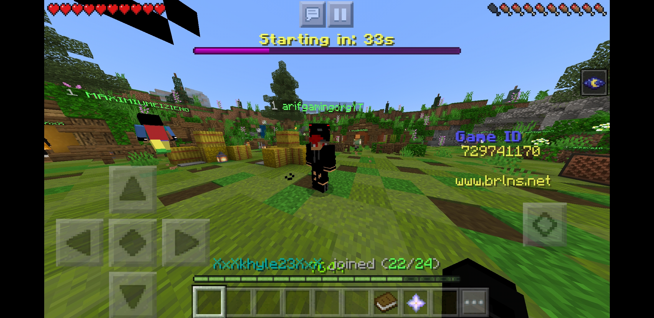 Screenshot_20200529-045018_Minecraft.jpg