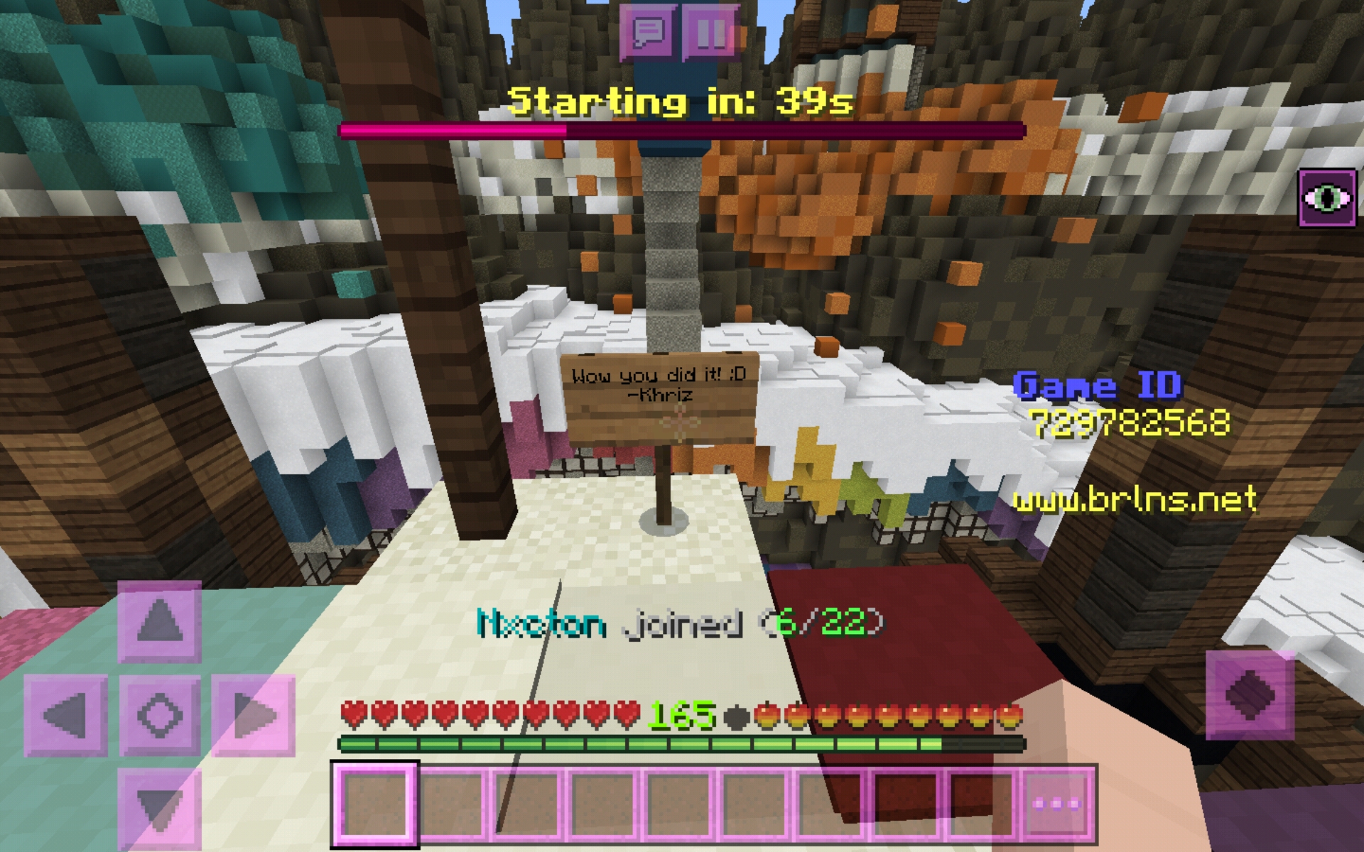 Screenshot_20200531-011737_Minecraft.jpg