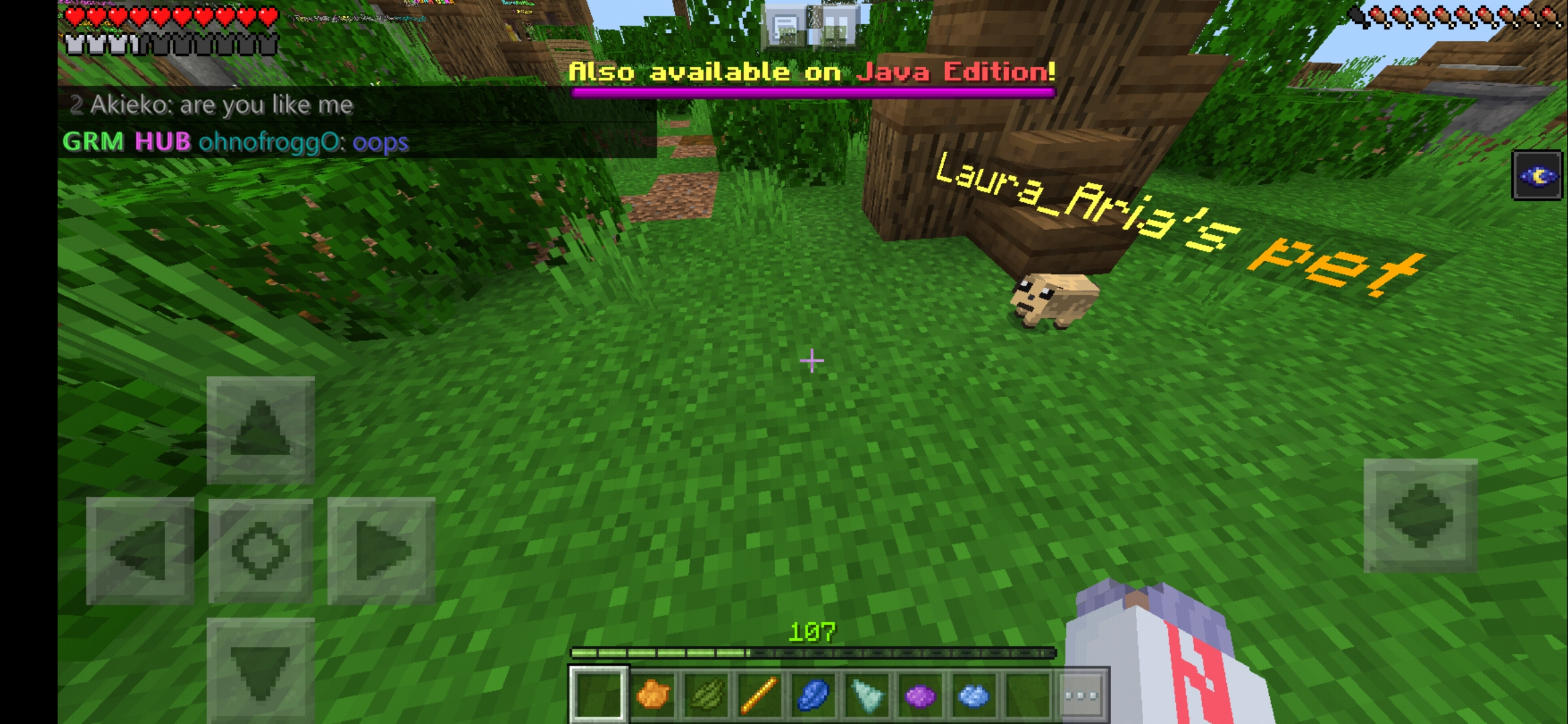 Screenshot_20200531-091707_Minecraft.jpg
