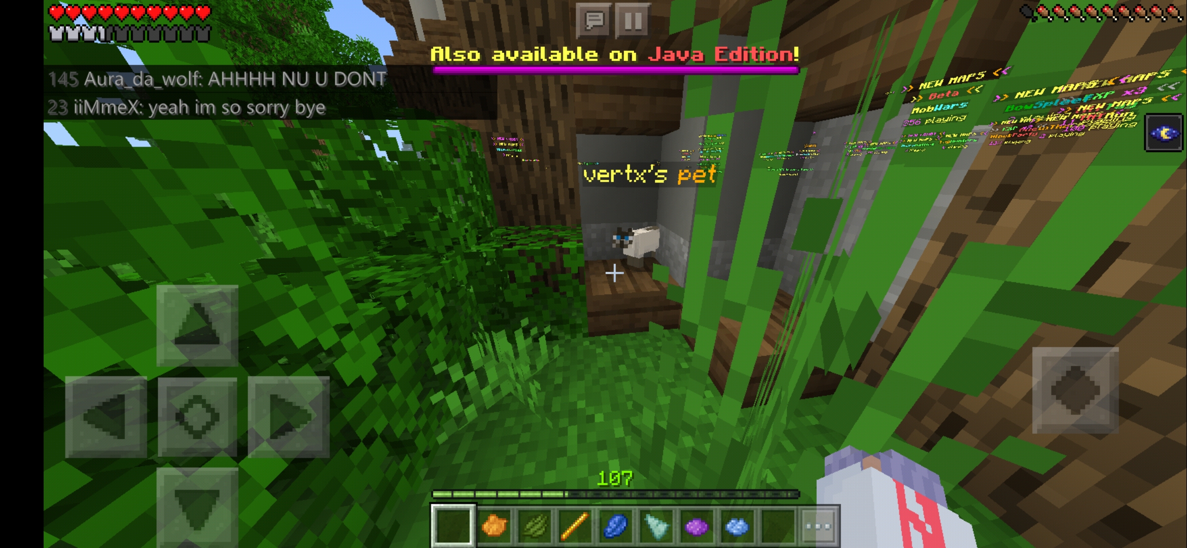 Screenshot_20200531-105020_Minecraft.jpg