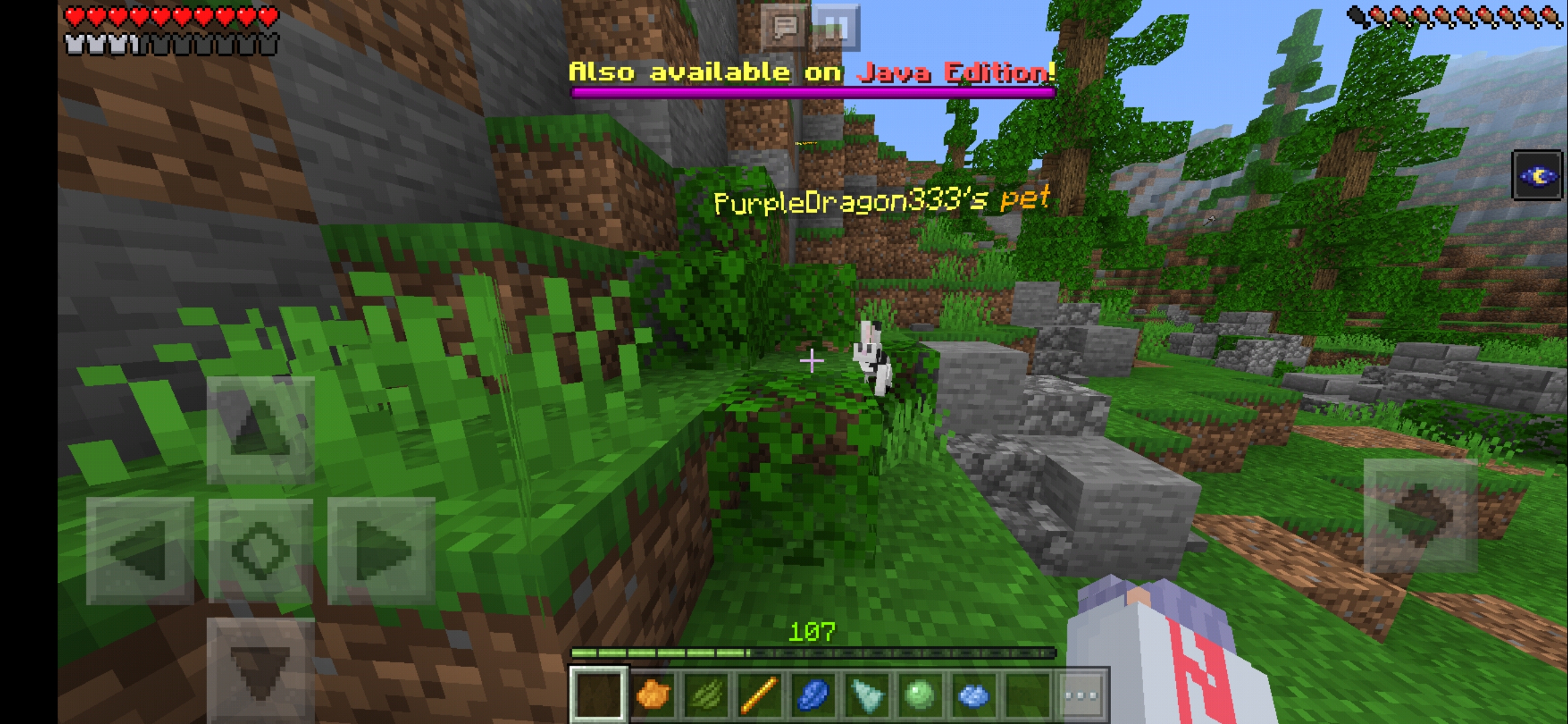 Screenshot_20200531-114334_Minecraft.jpg