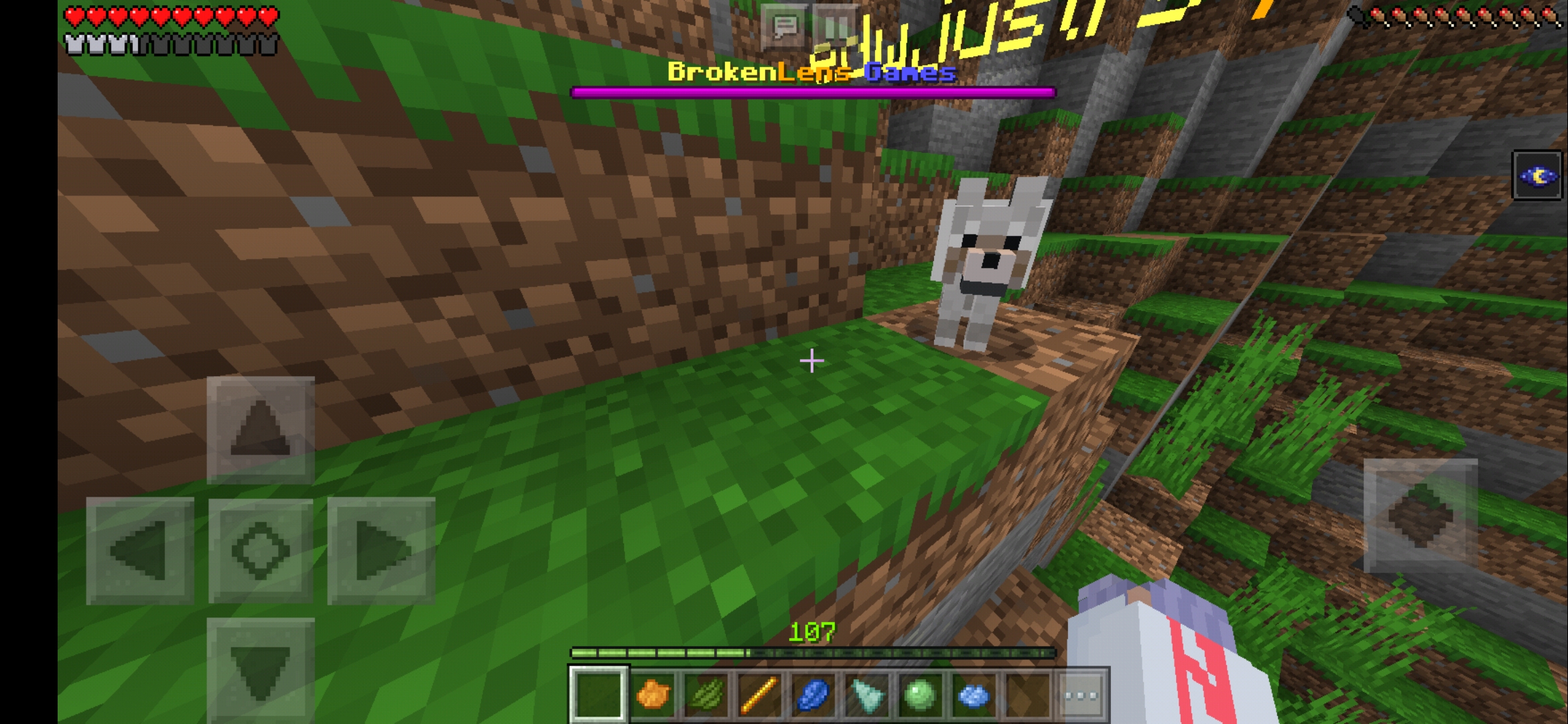 Screenshot_20200531-114846_Minecraft.jpg