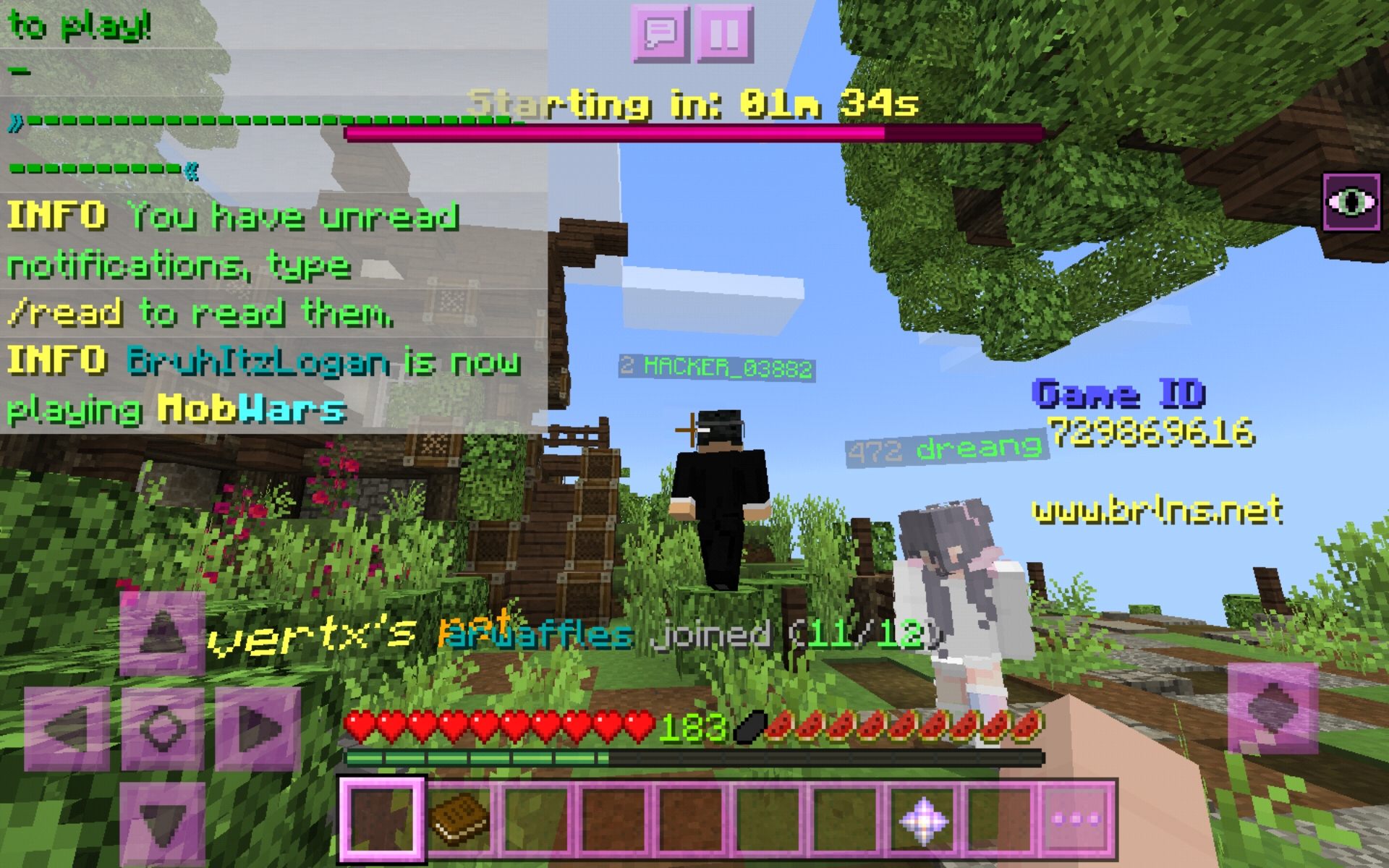 Screenshot_20200604-034342_Minecraft.jpg