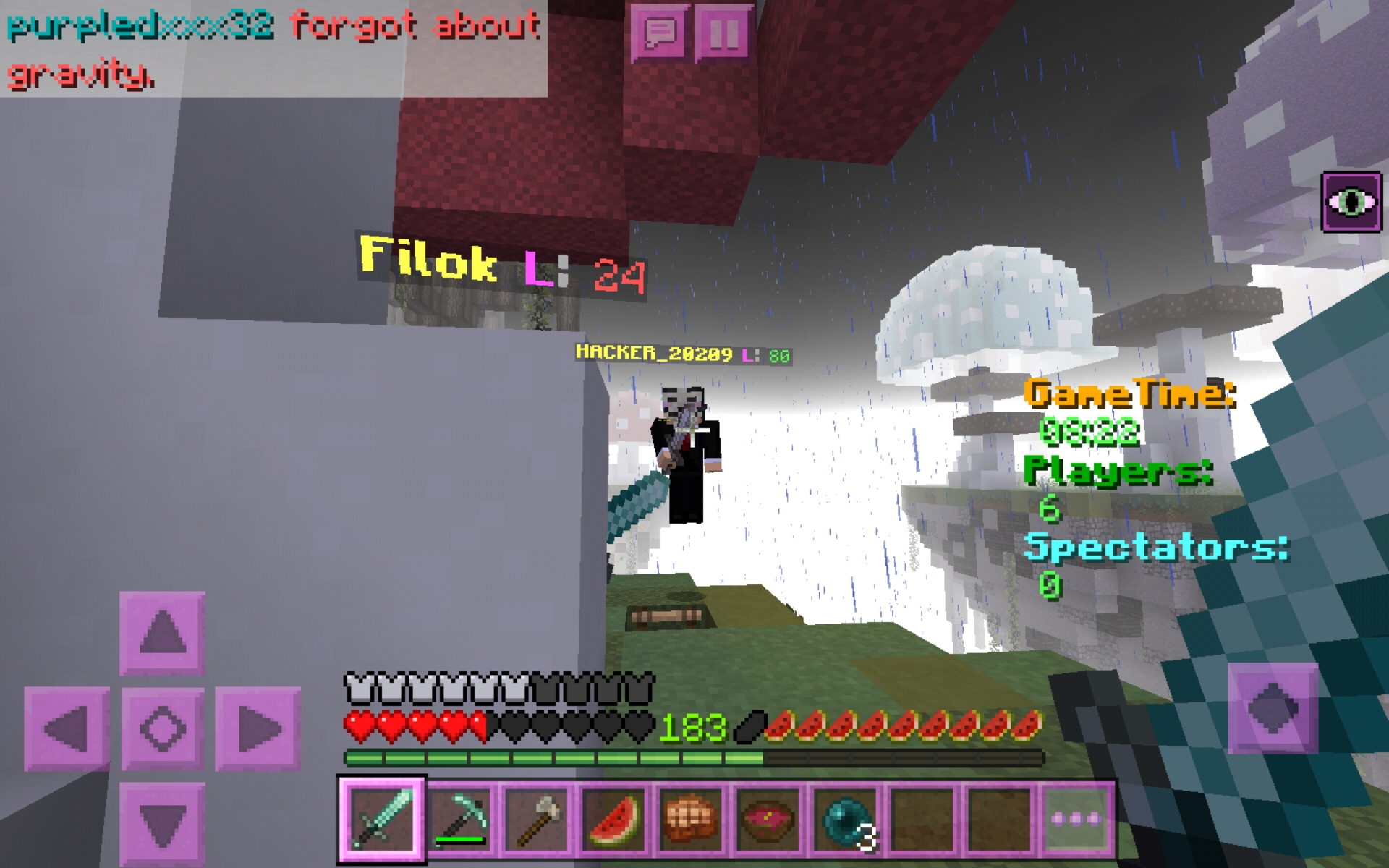 Screenshot_20200605-012545_Minecraft.jpg