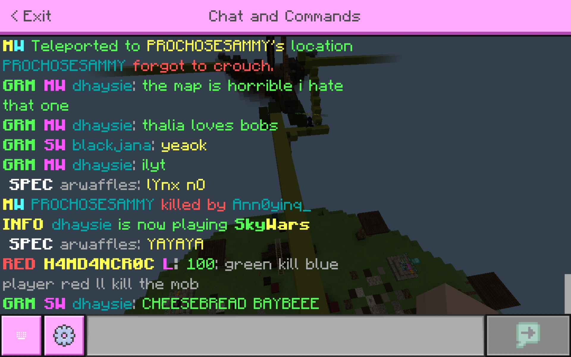 Screenshot_20200605-025820_Minecraft.jpg