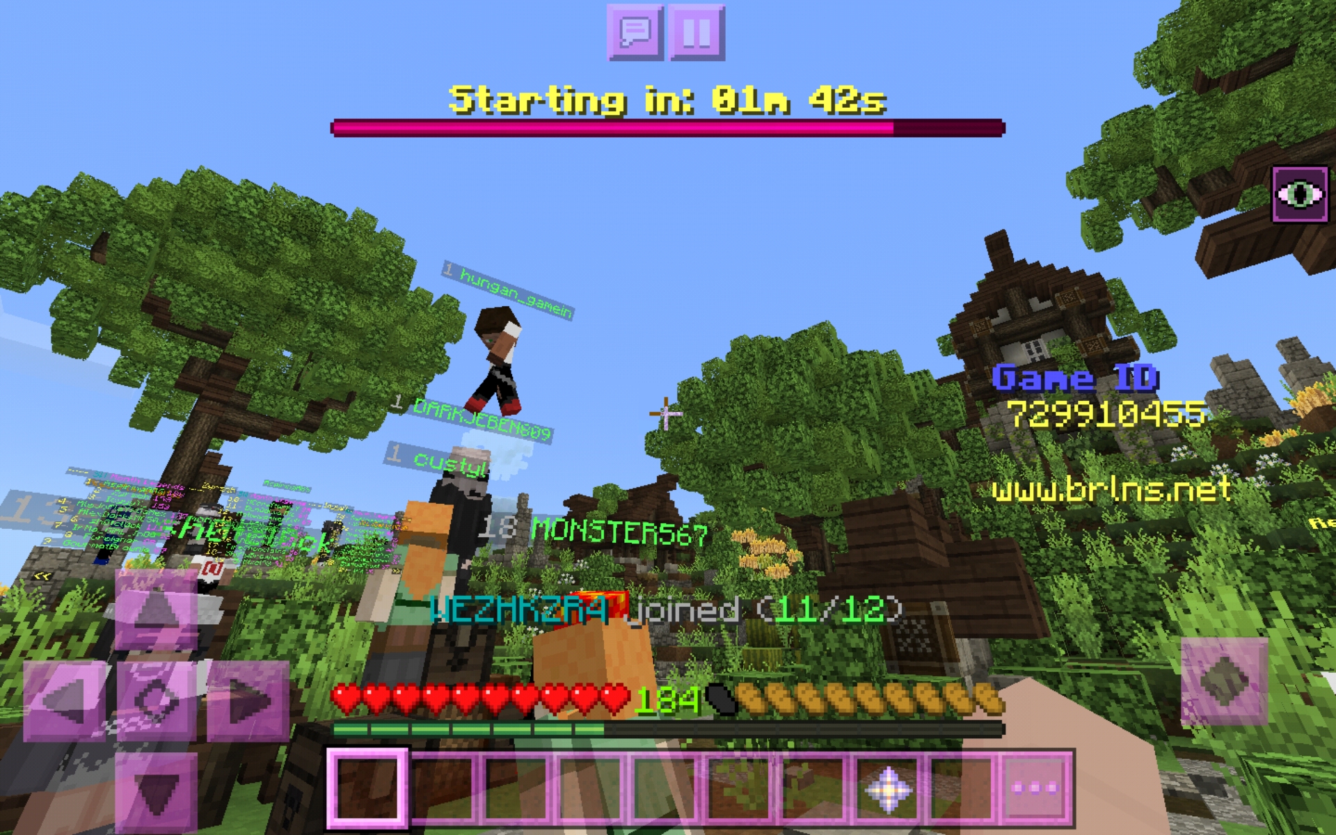 Screenshot_20200606-010051_Minecraft.jpg