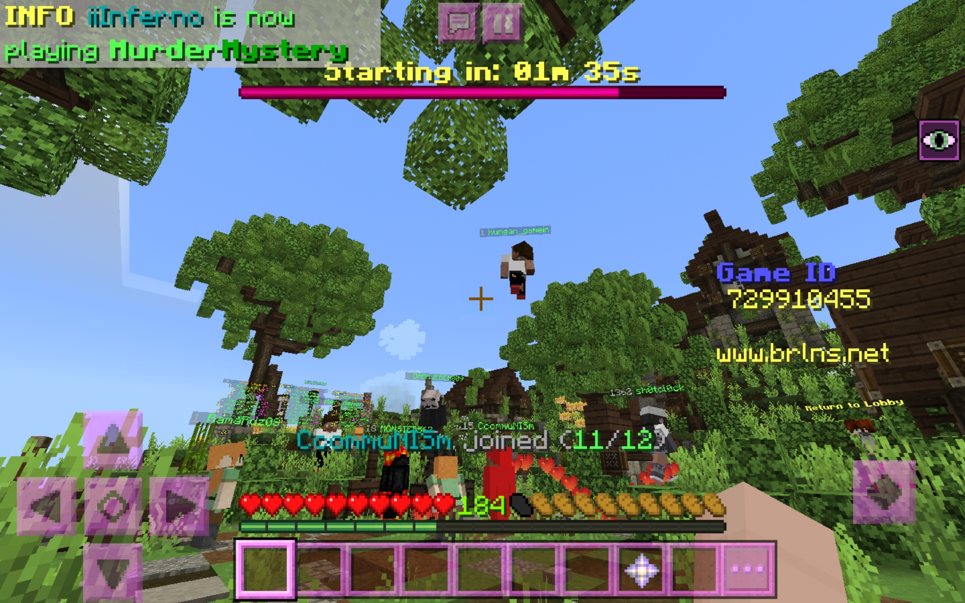 Screenshot_20200606-010057_Minecraft.jpg