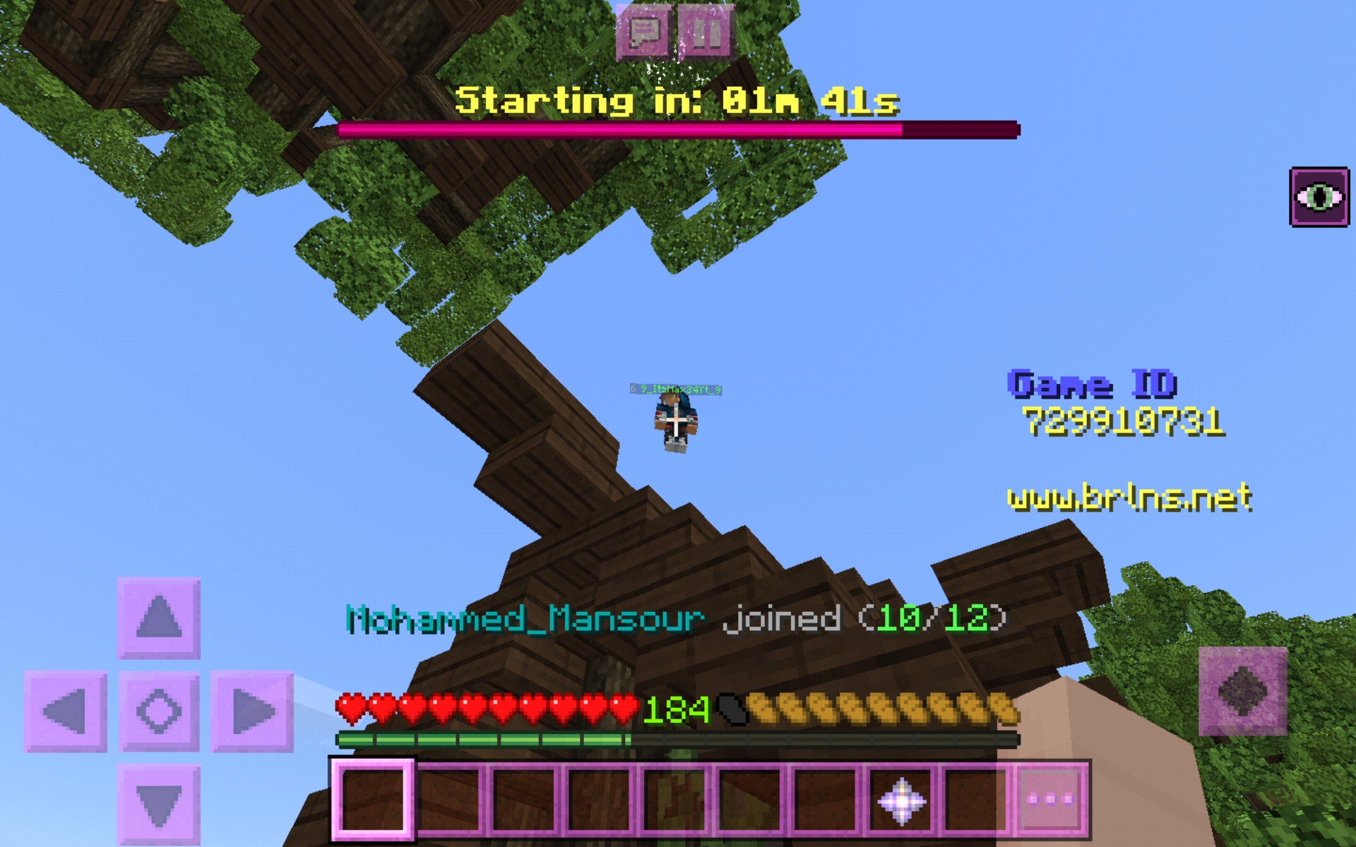 Screenshot_20200606-011826_Minecraft.jpg