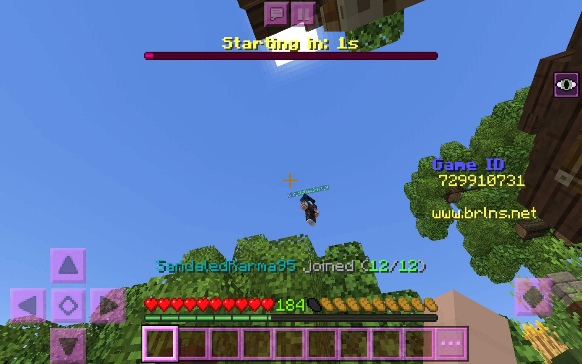 Screenshot_20200606-011845_Minecraft.jpg