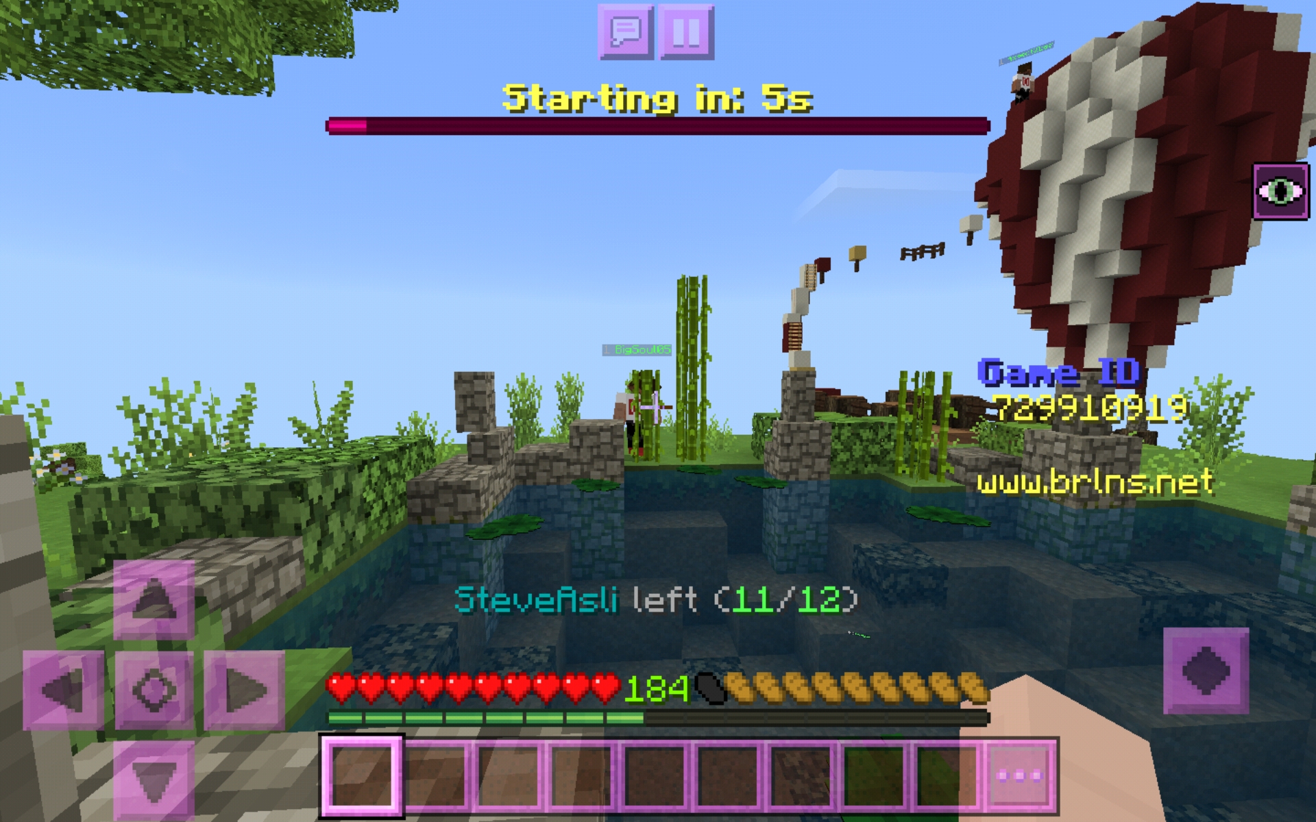 Screenshot_20200606-012737_Minecraft.jpg