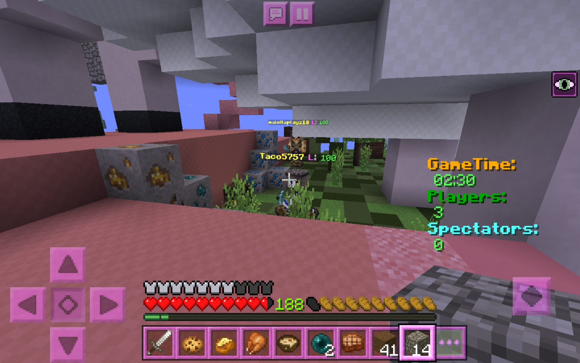 Screenshot_20200607-180502_Minecraft.jpg