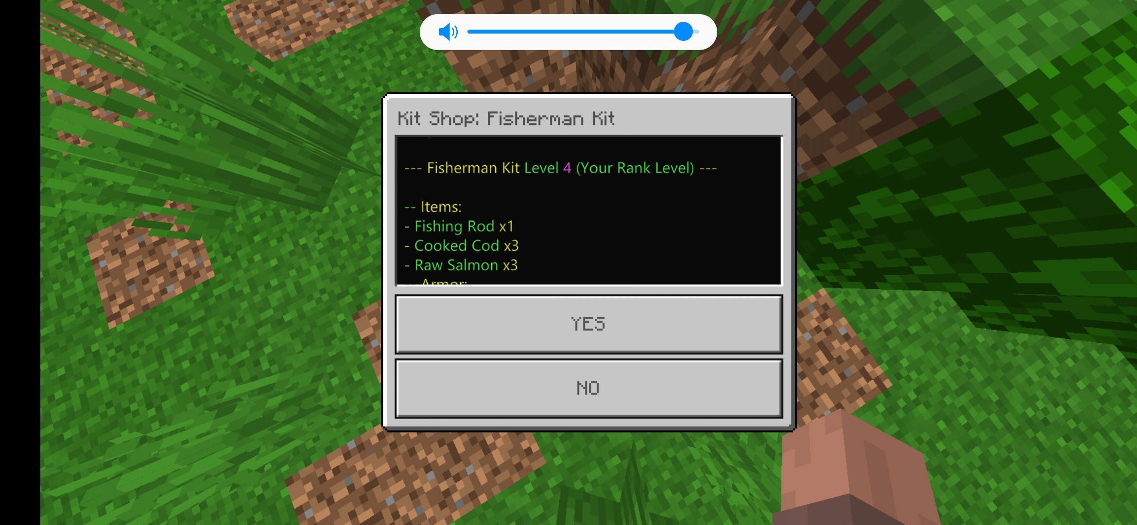 Screenshot_20200608-192028_Minecraft.jpg