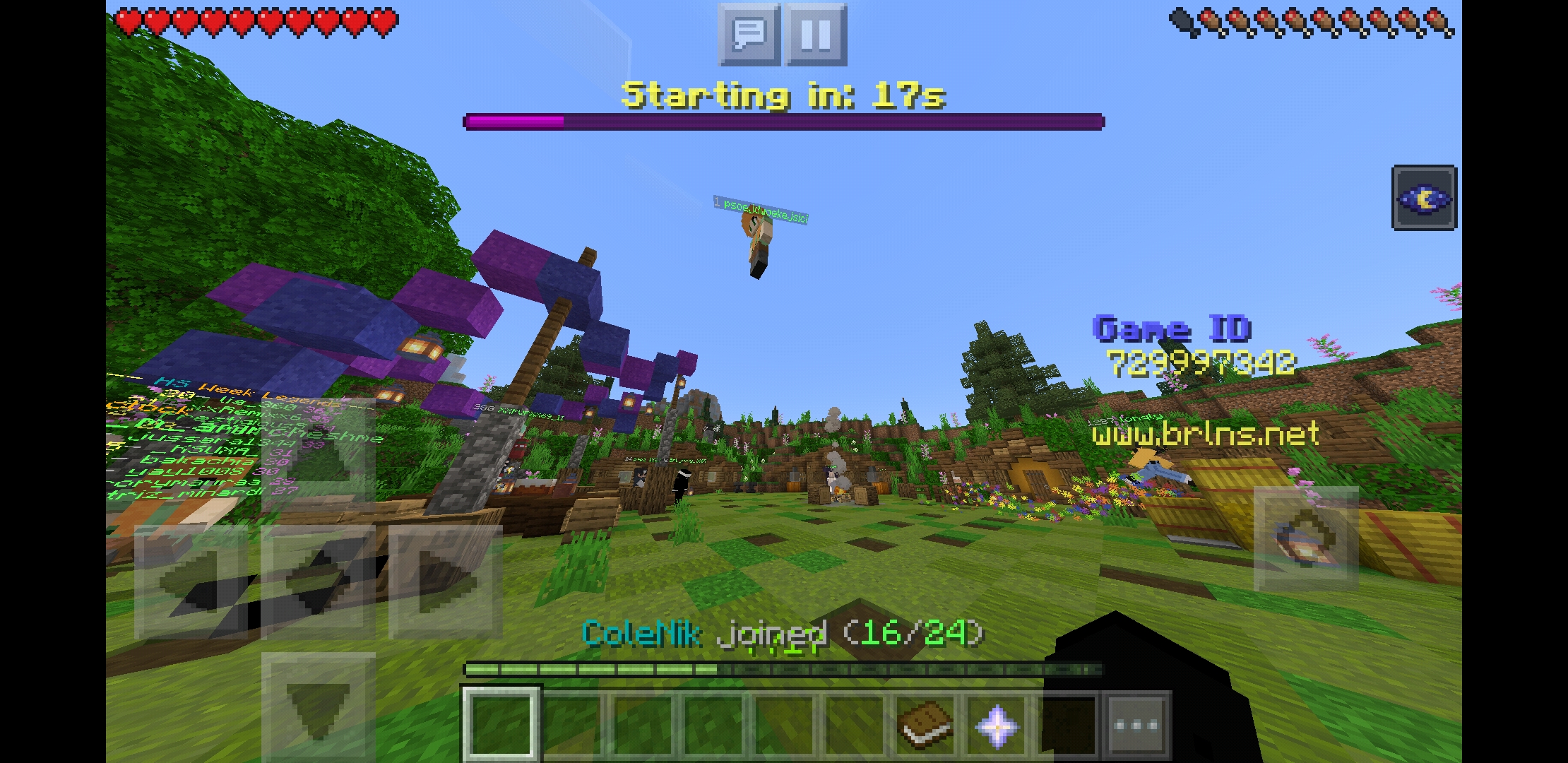Screenshot_20200610-063637_Minecraft.jpg