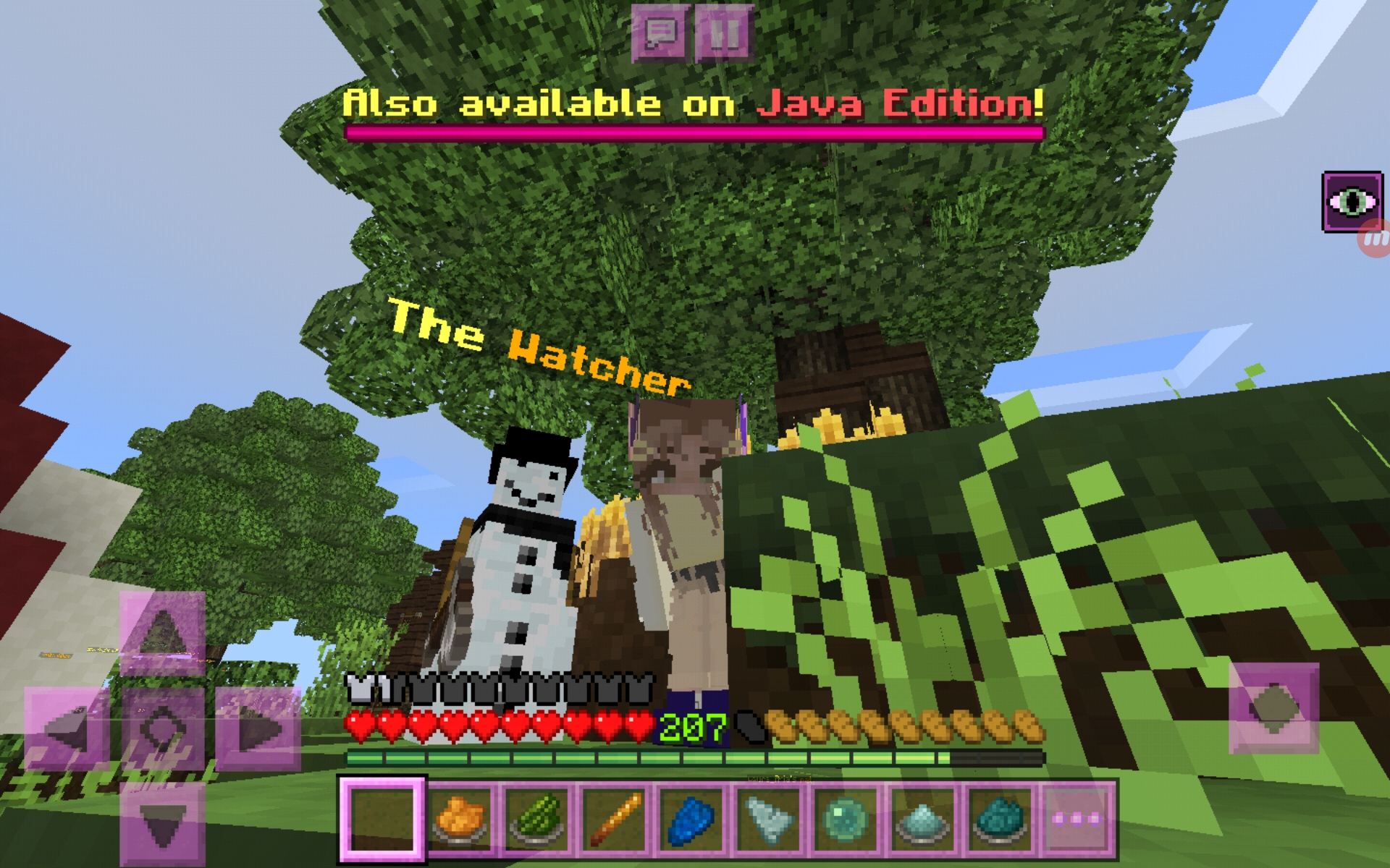 Screenshot_20200612-003602_Minecraft.jpg