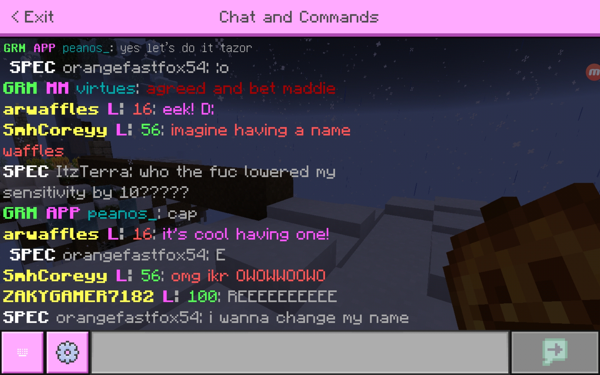 Screenshot_20200612-193818_Minecraft.jpg