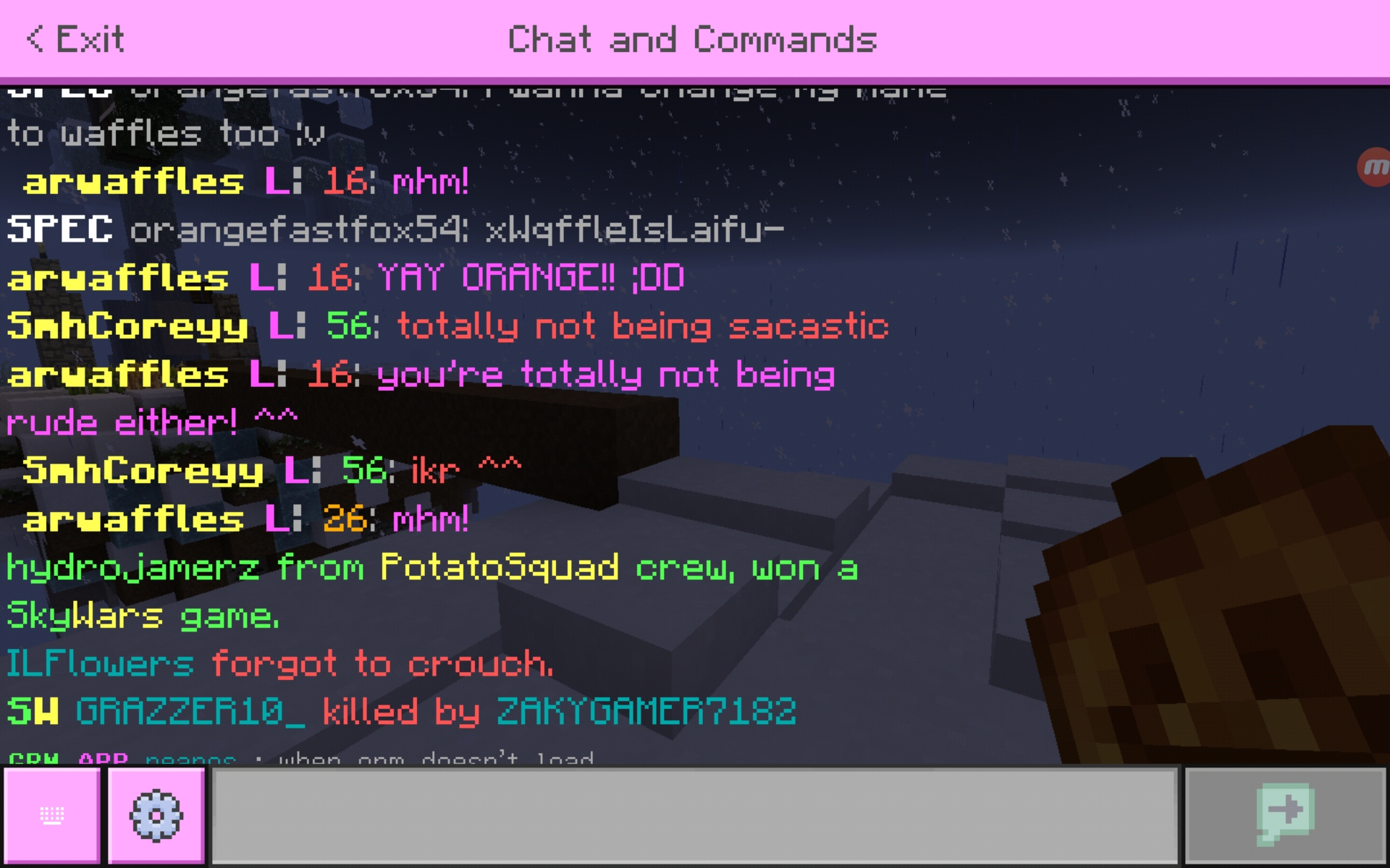 Screenshot_20200612-193823_Minecraft.jpg