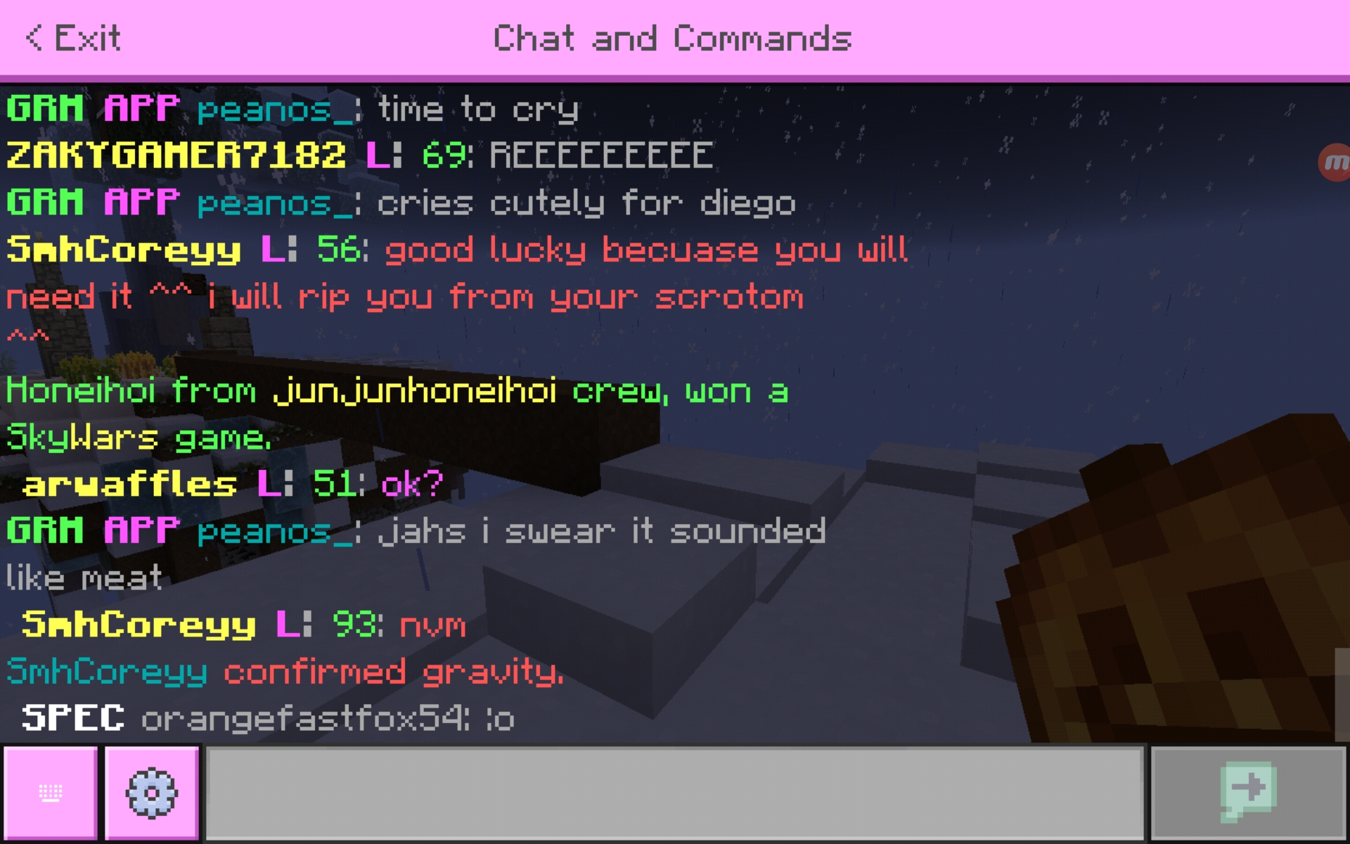 Screenshot_20200612-193829_Minecraft.jpg