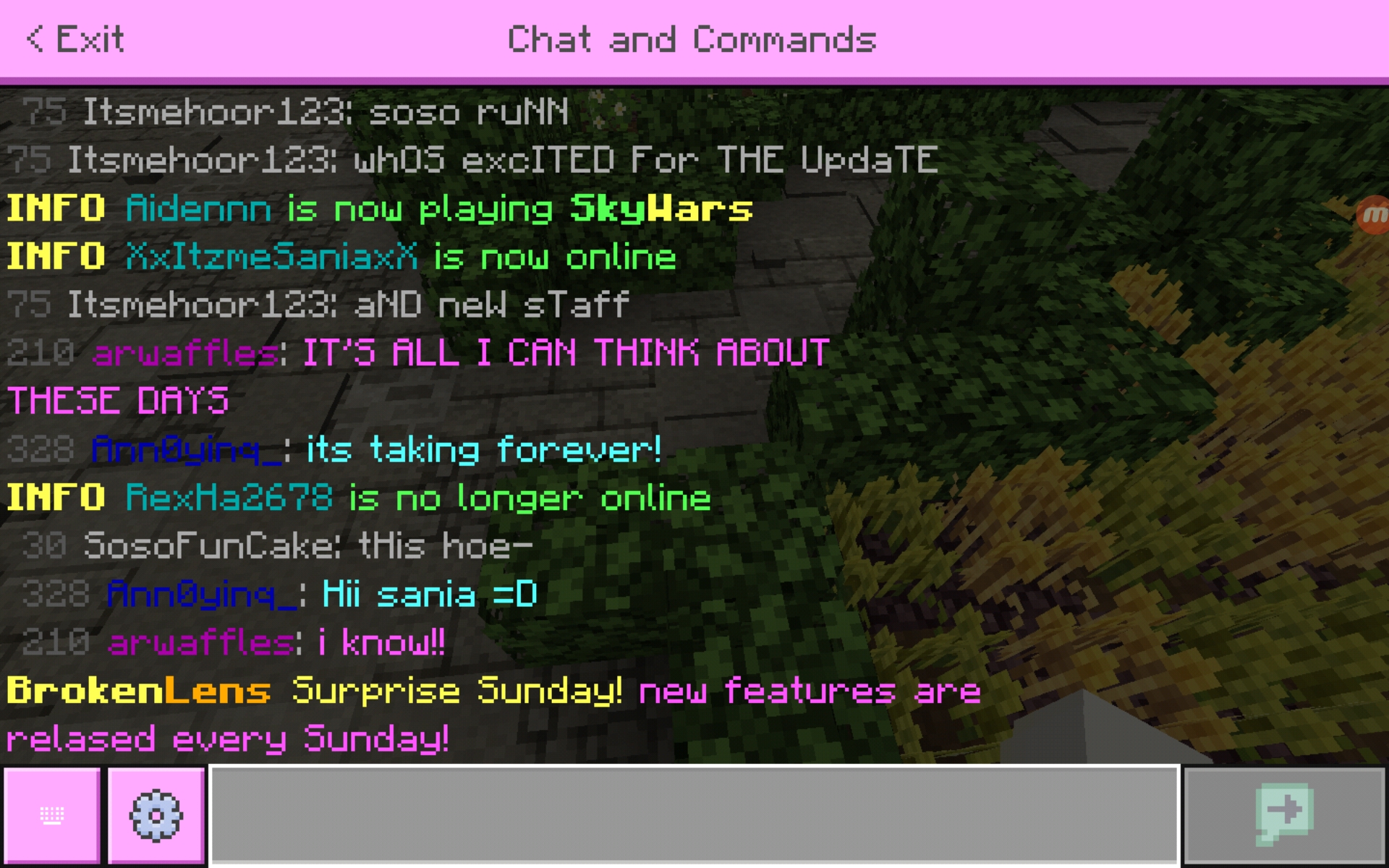 Screenshot_20200613-031929_Minecraft.jpg