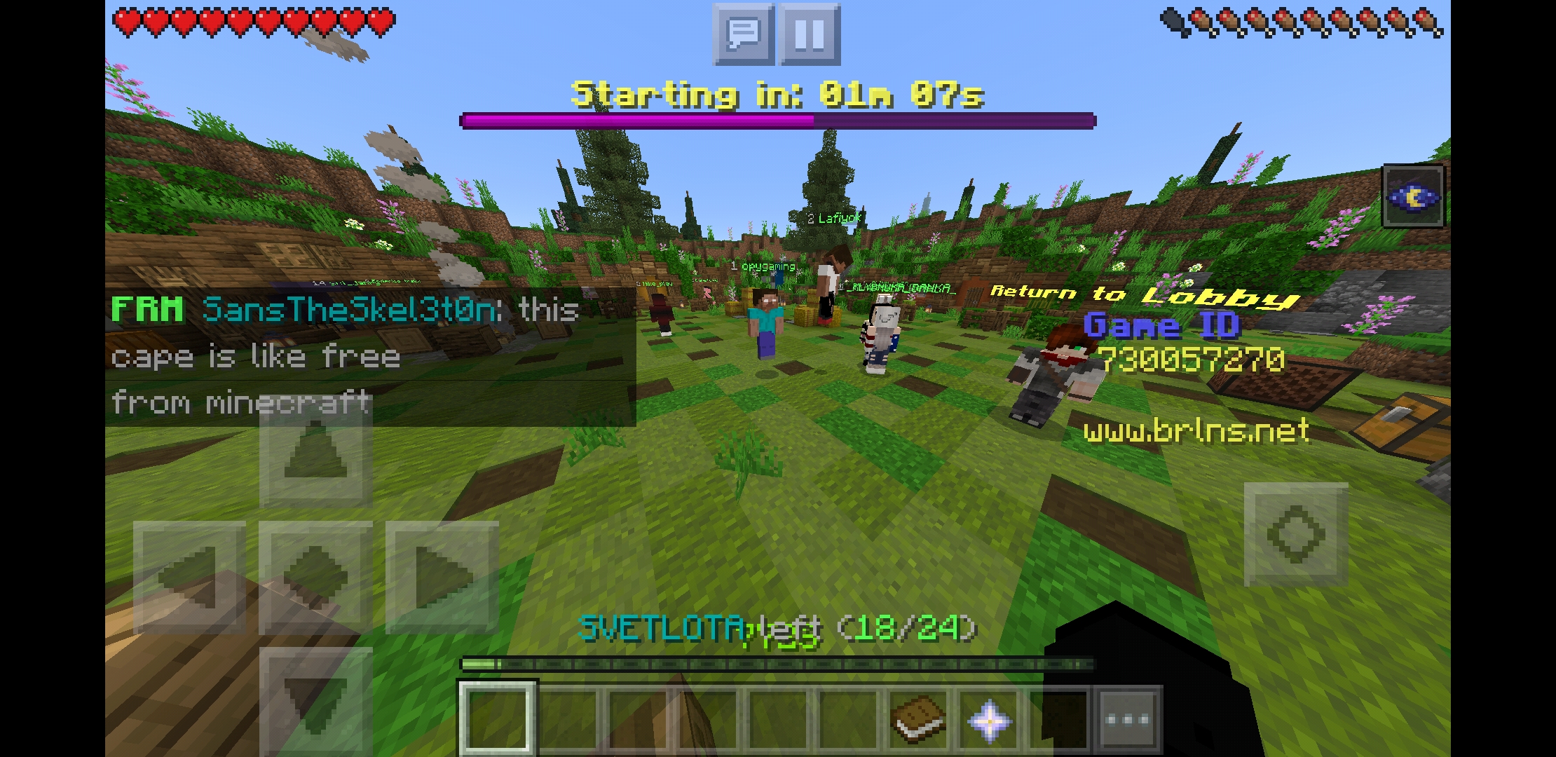 Screenshot_20200613-044229_Minecraft.jpg