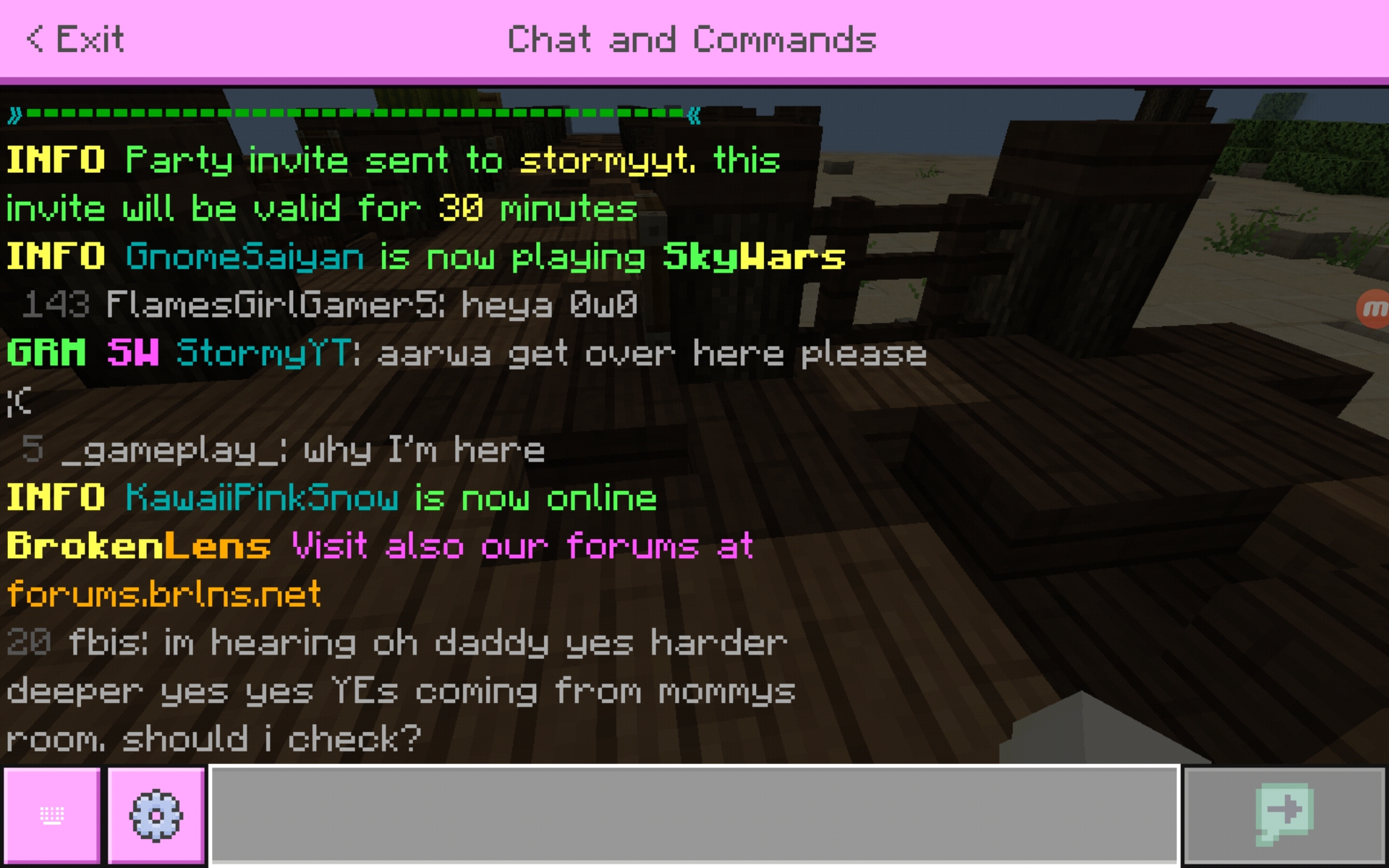 Screenshot_20200614-185449_Minecraft.jpg