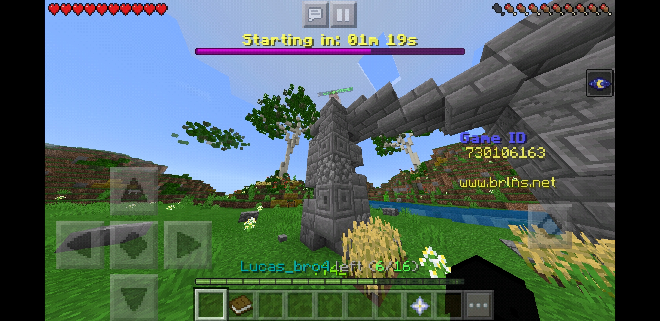 Screenshot_20200615-135949_Minecraft.jpg