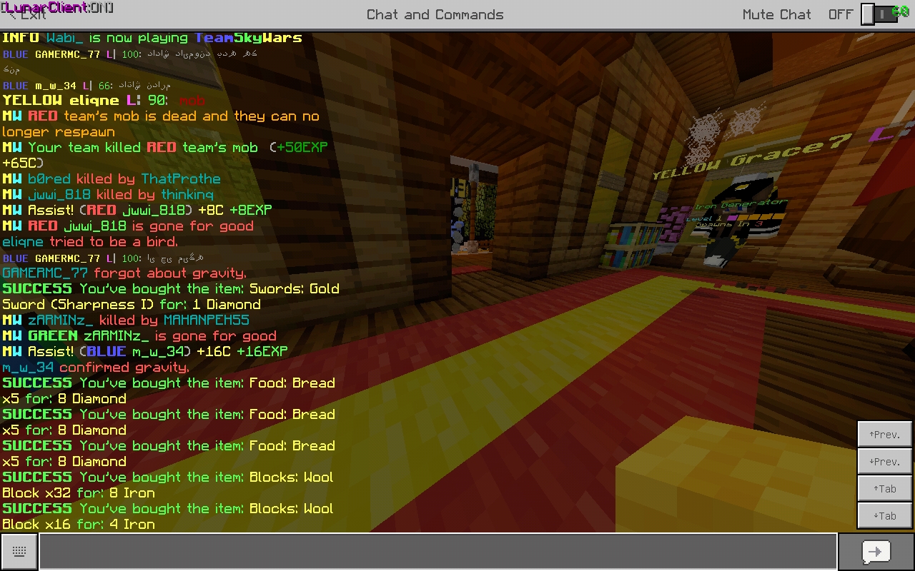 Screenshot_20200617-121938_Minecraft.jpg
