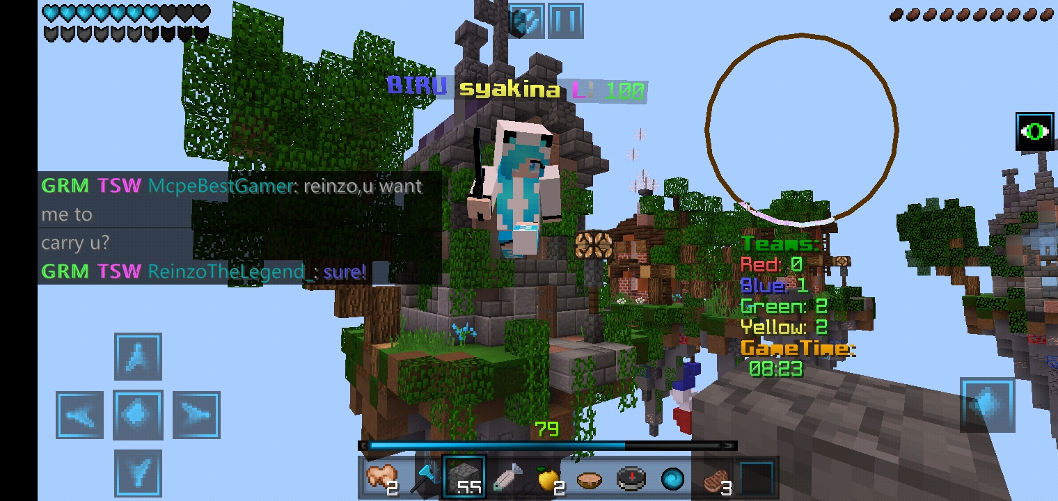 Screenshot_20200620-175810_Minecraft.jpg