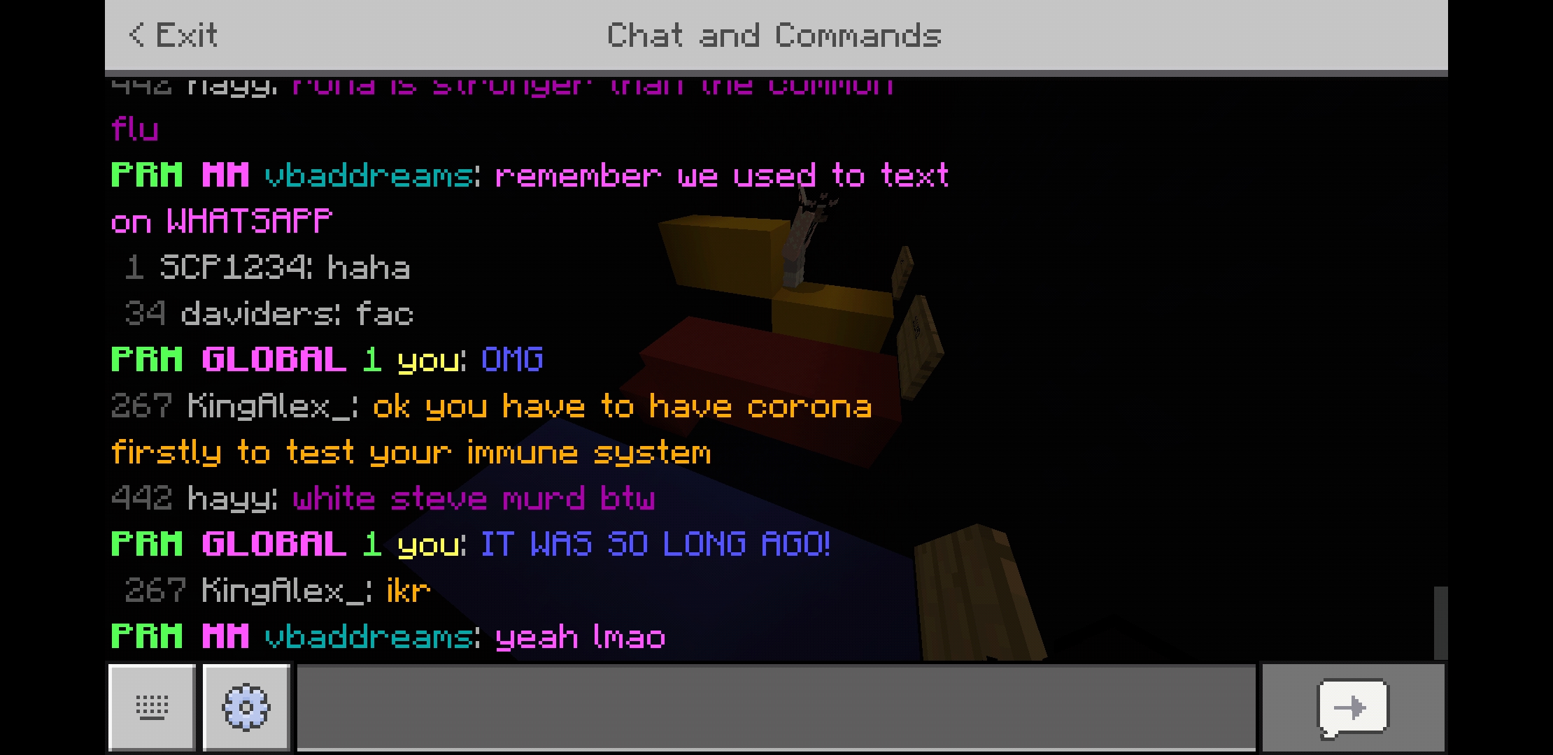 Screenshot_20200702-005115_Minecraft.jpg