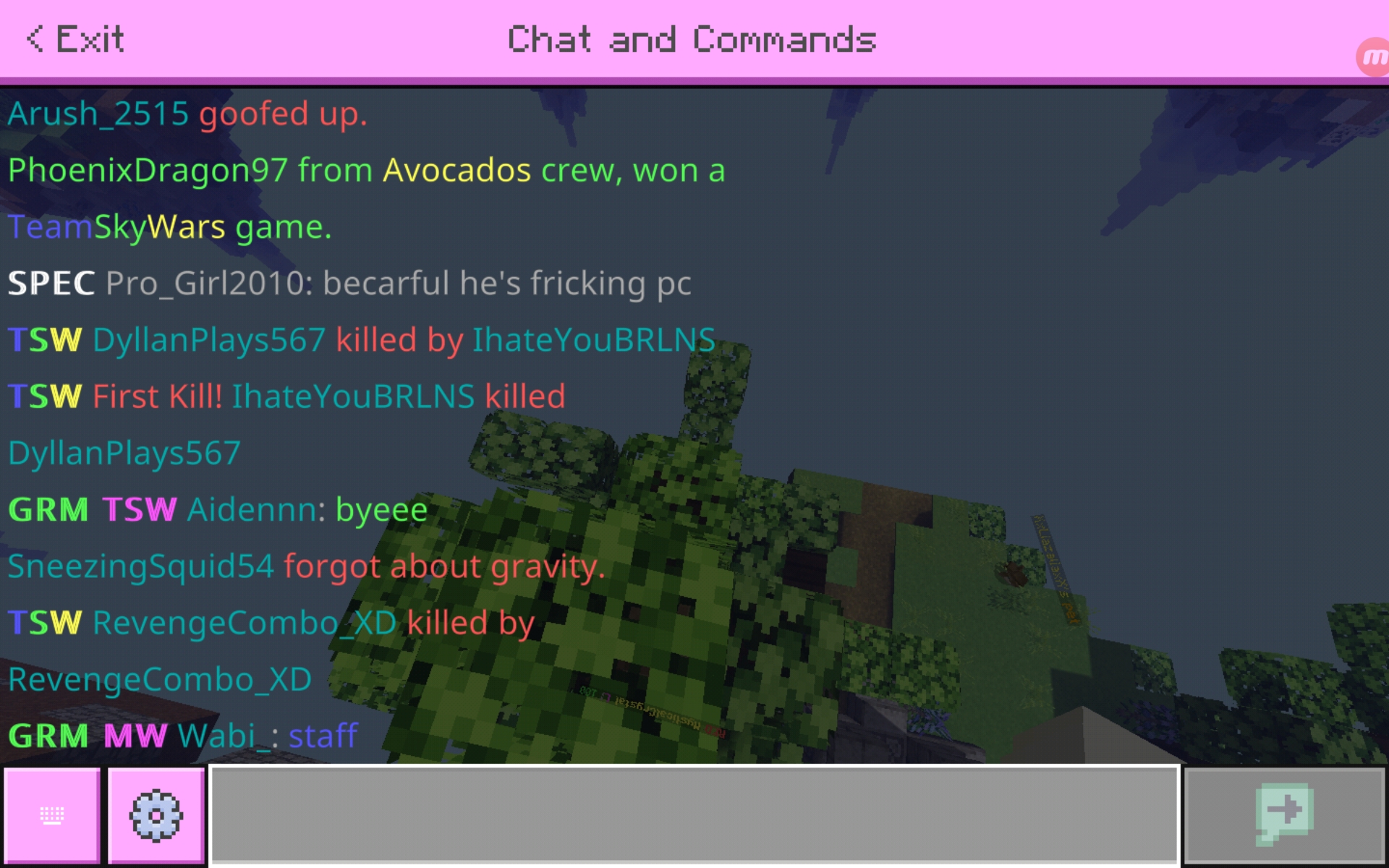Screenshot_20200703-025719_Minecraft.jpg
