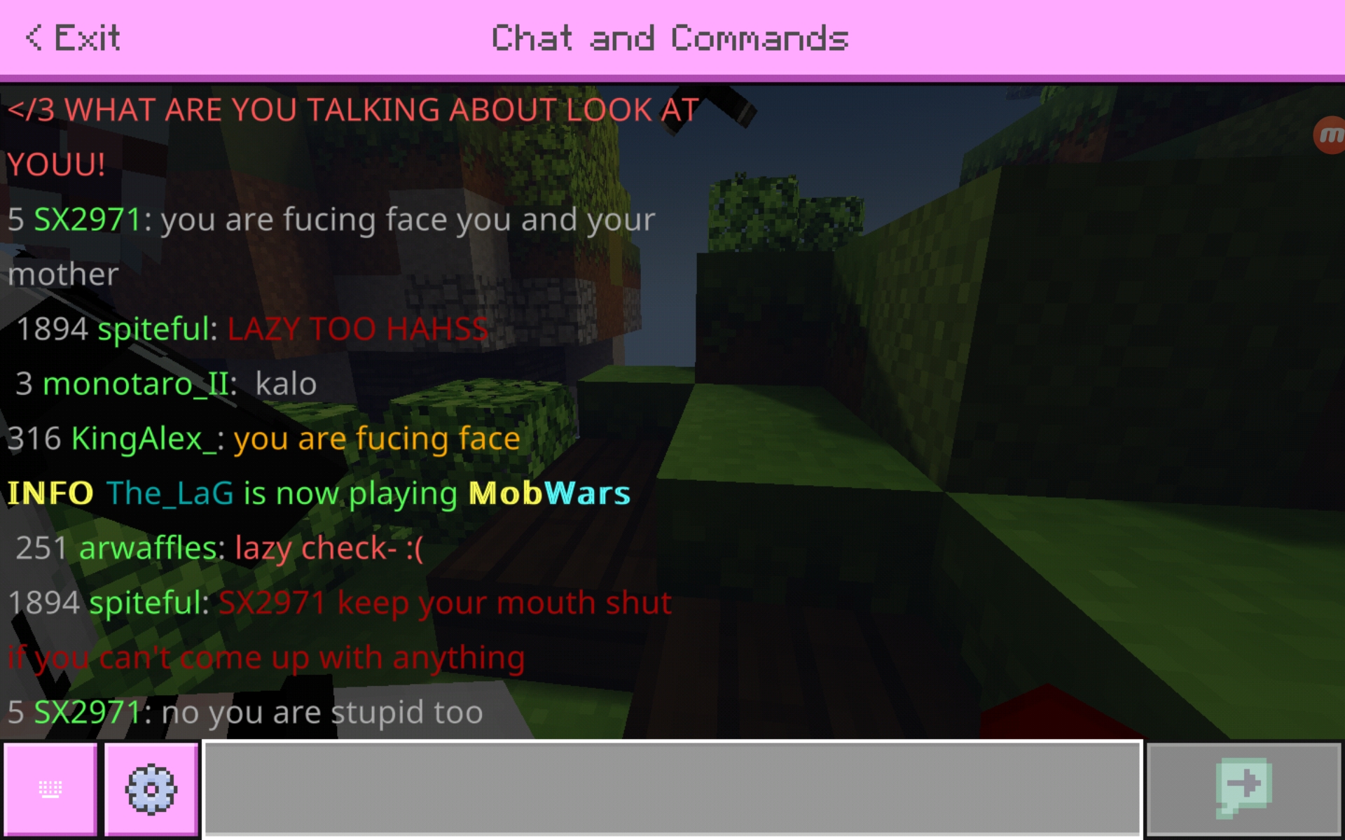 Screenshot_20200705-015246_Minecraft.jpg