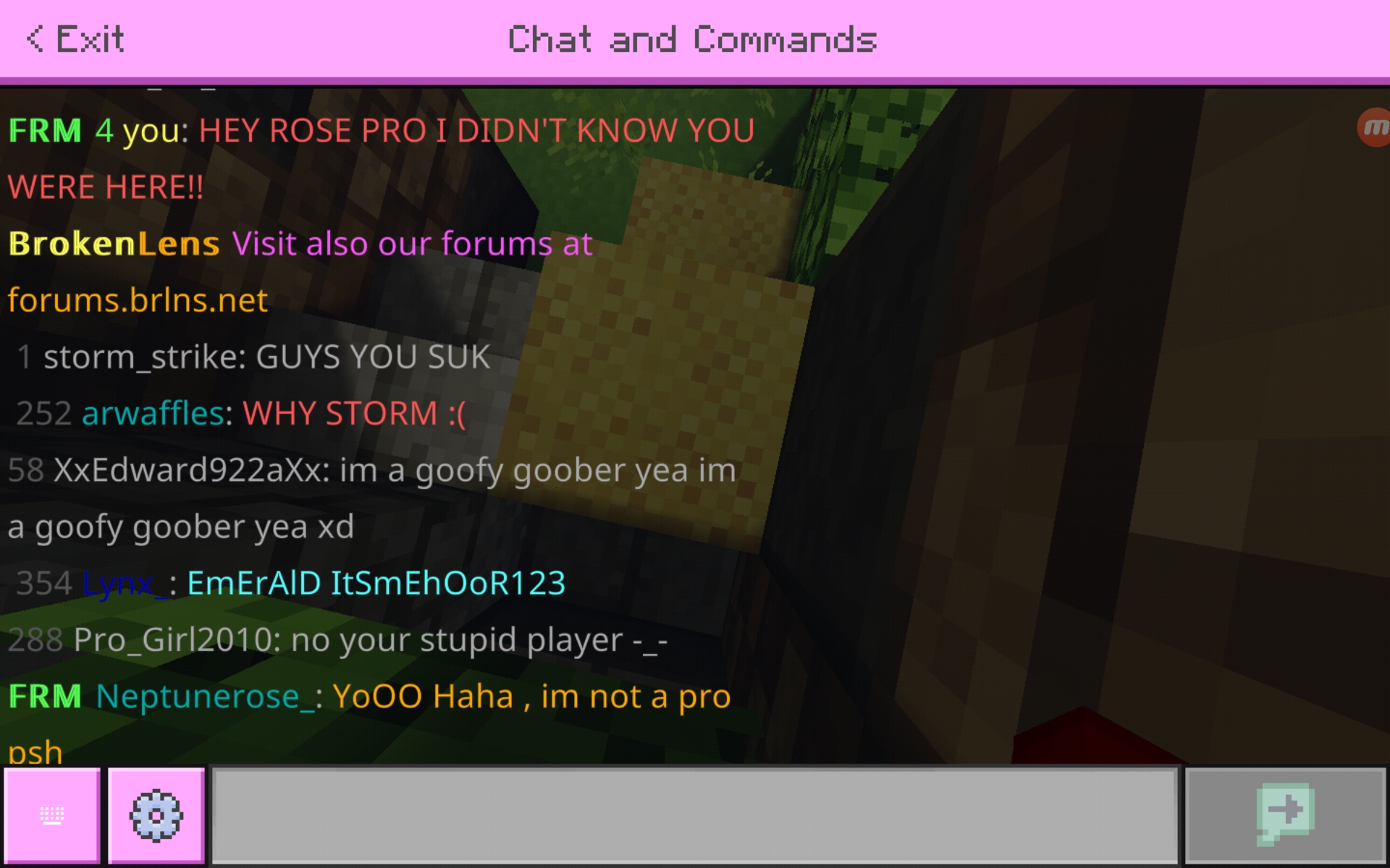 Screenshot_20200705-025128_Minecraft.jpg
