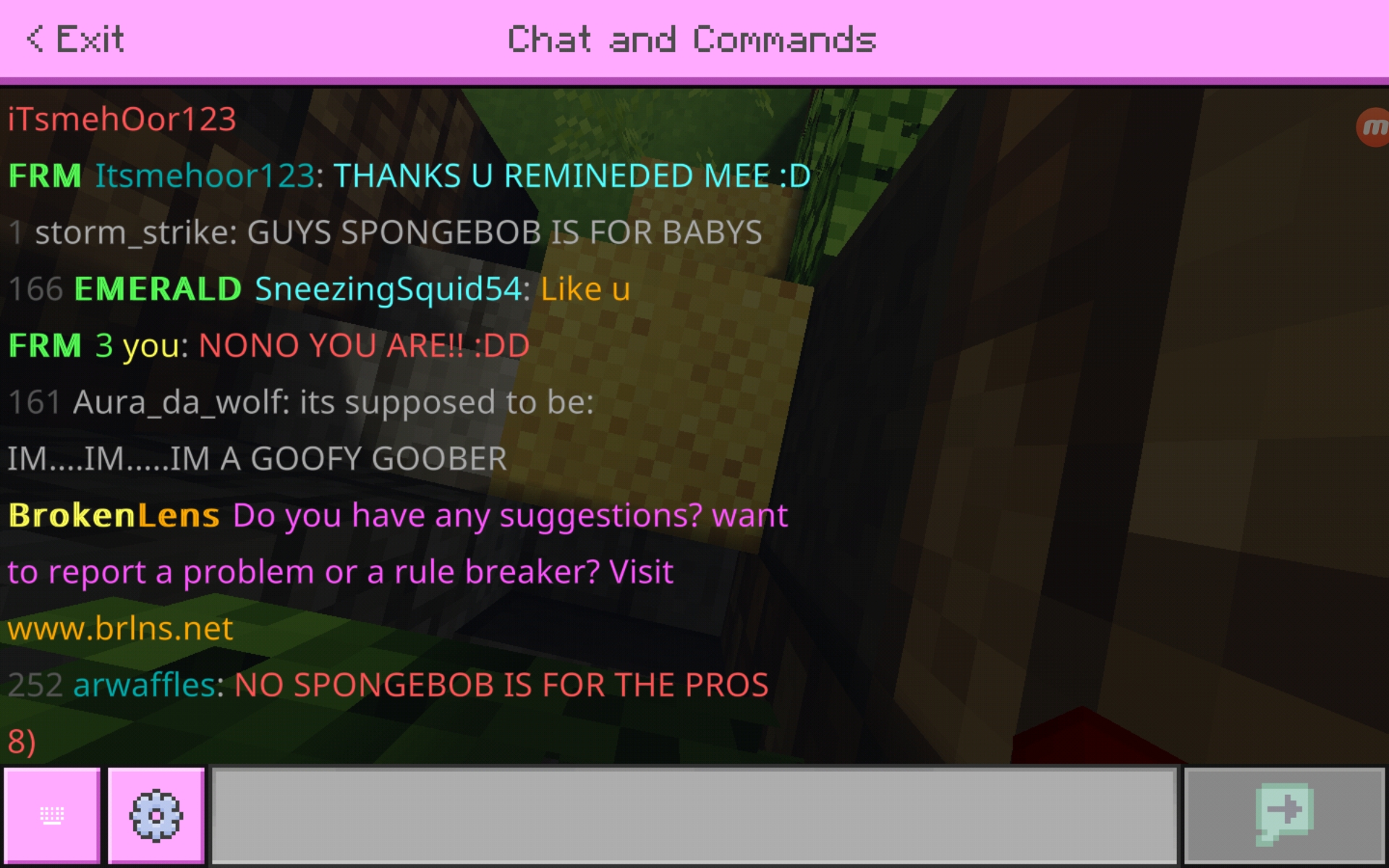 Screenshot_20200705-025136_Minecraft.jpg