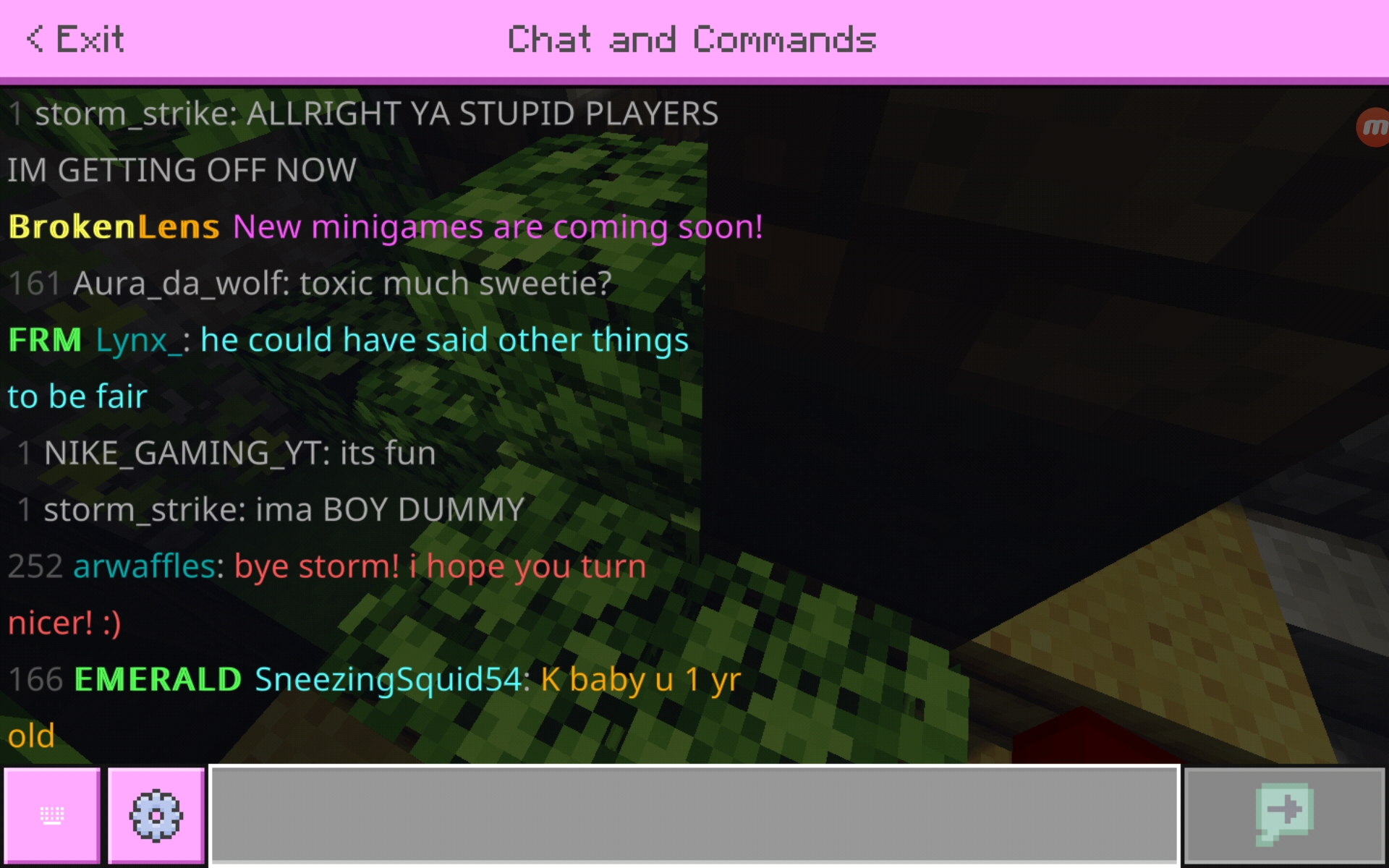 Screenshot_20200705-025352_Minecraft.jpg