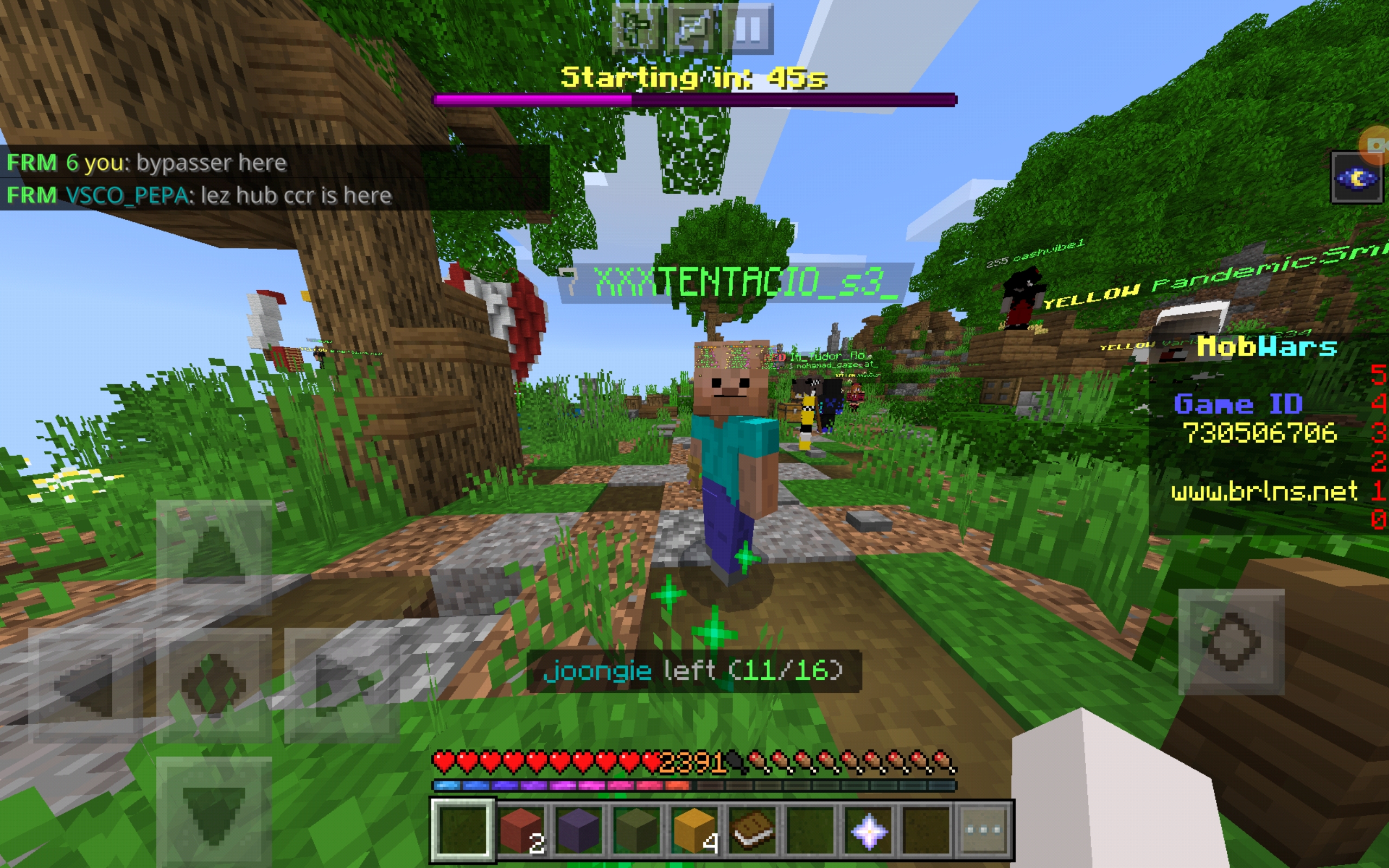 Screenshot_20200706-151155_Minecraft.jpg