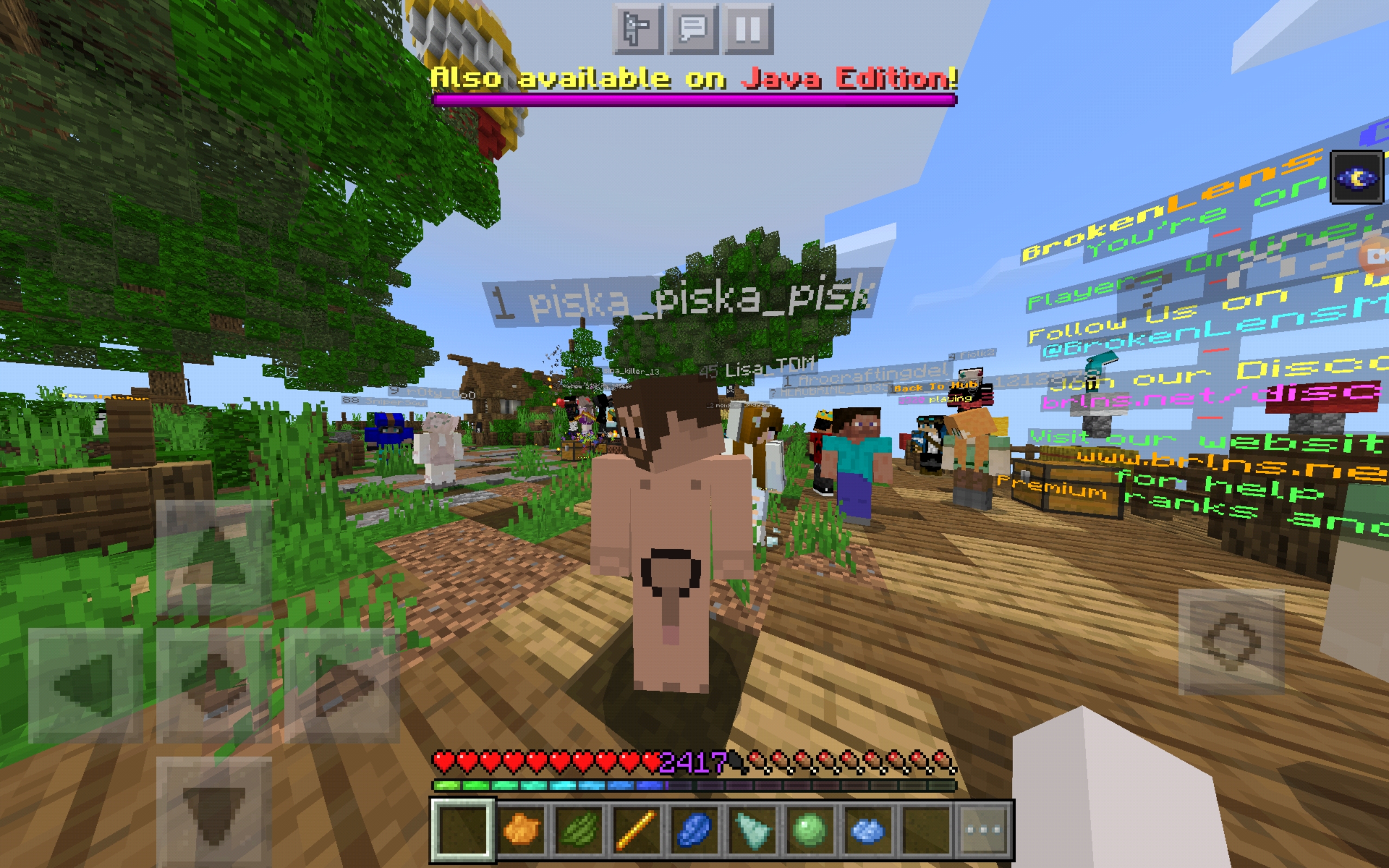 Screenshot_20200716-135312_Minecraft.jpg