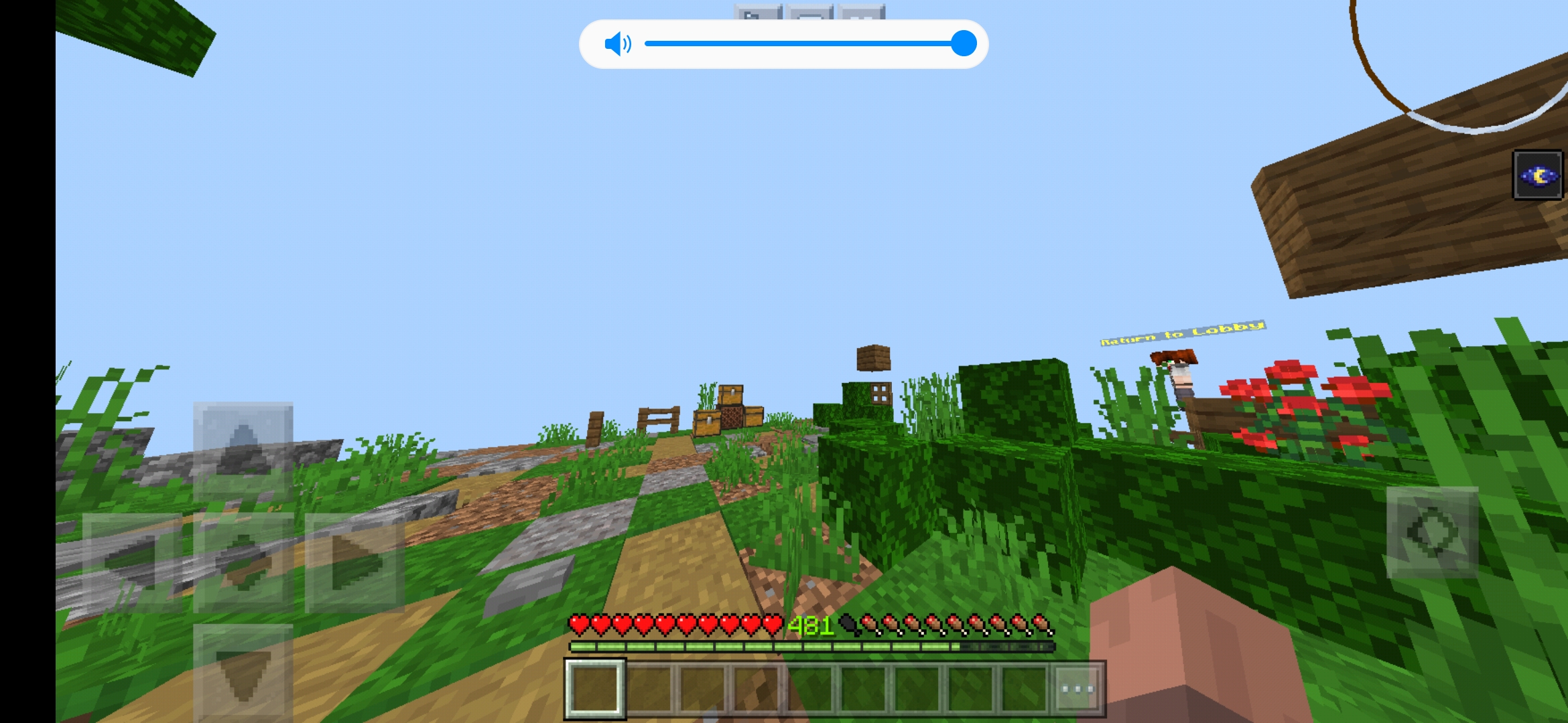 Screenshot_20200718-135927_Minecraft.jpg