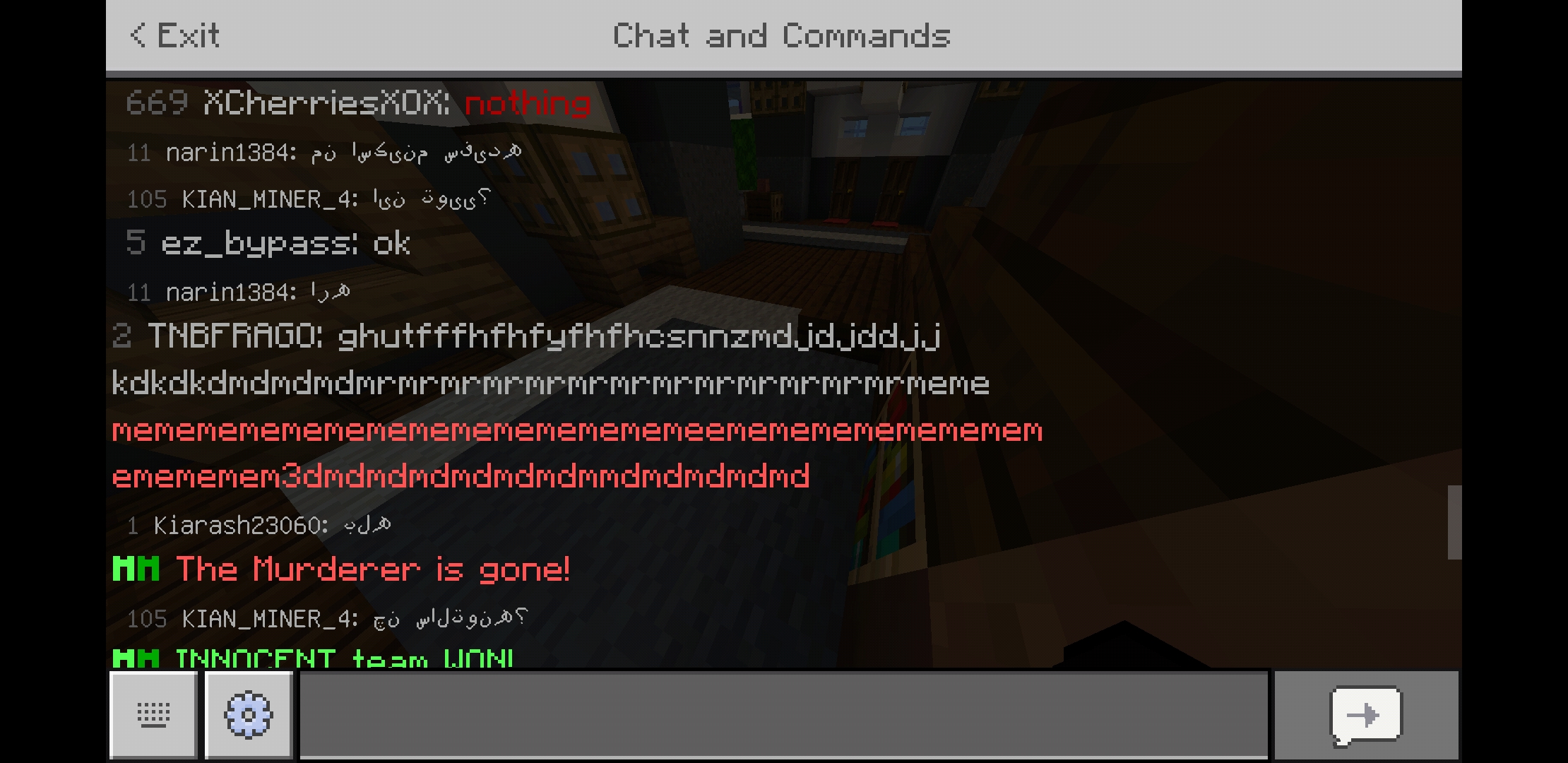 Screenshot_20200719-050042_Minecraft.jpg
