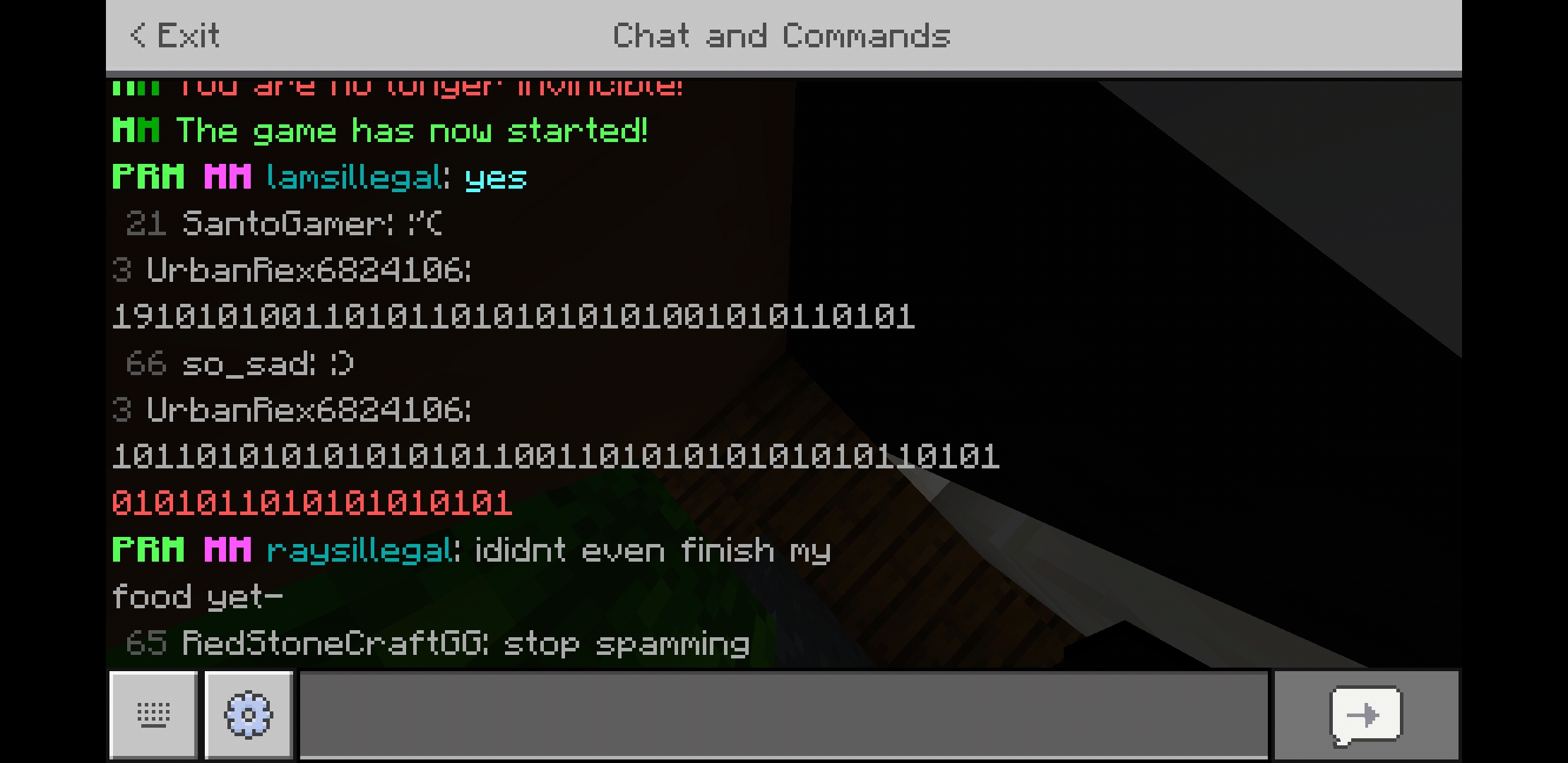 Screenshot_20200719-083423_Minecraft.jpg