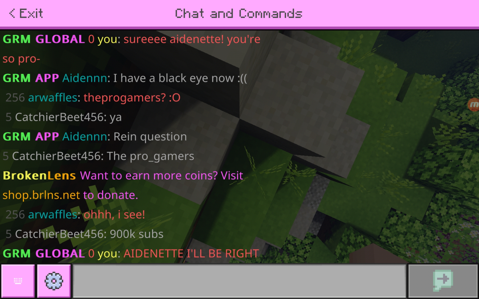 Screenshot_20200720-231301_Minecraft.jpg
