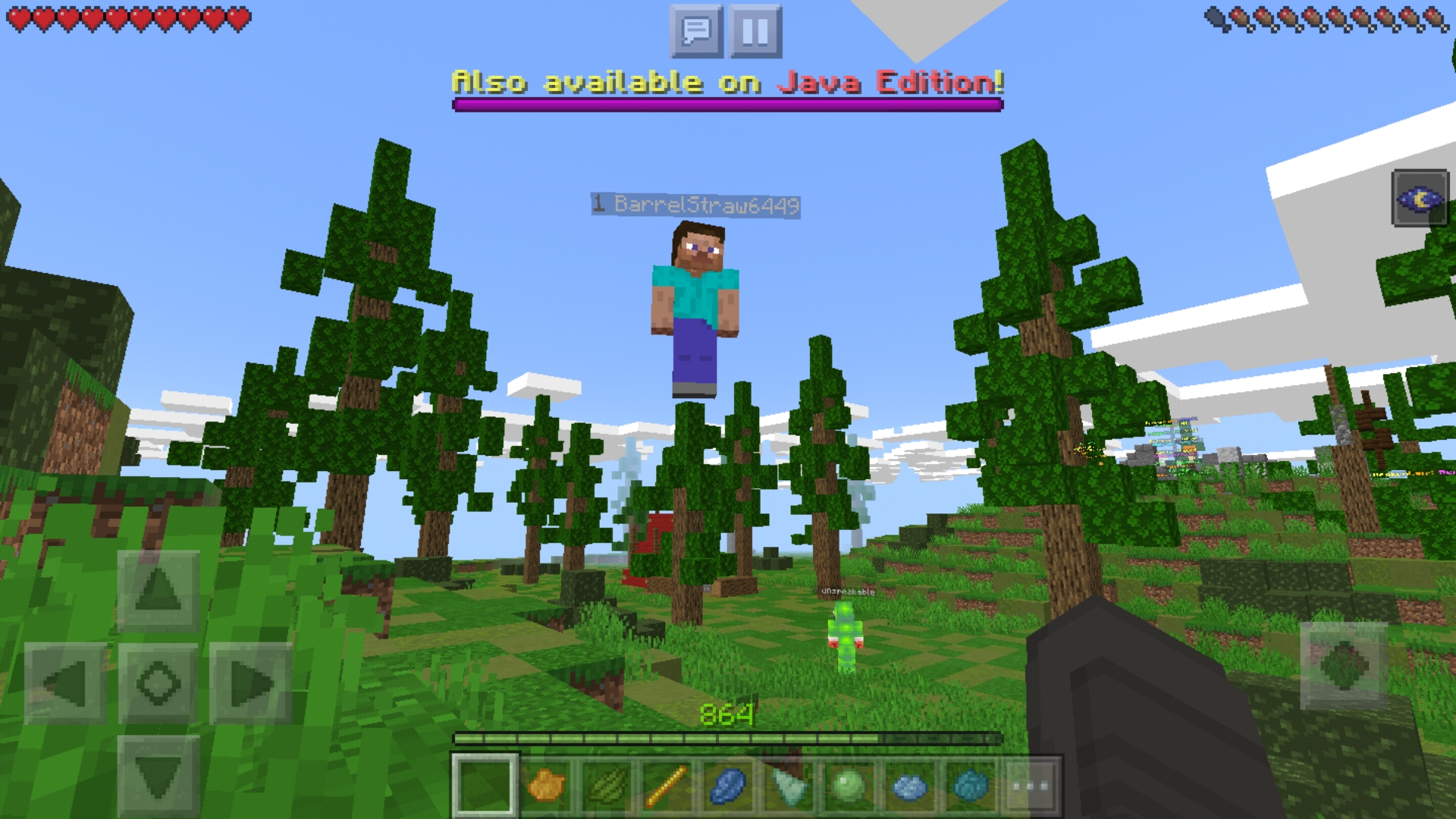 Screenshot_20200725-102006_Minecraft.jpg