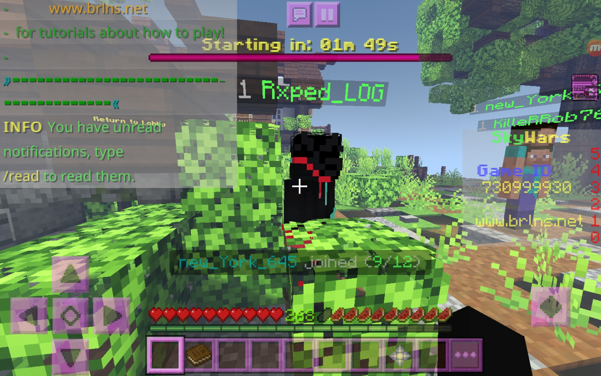 Screenshot_20200801-001519_Minecraft.jpg