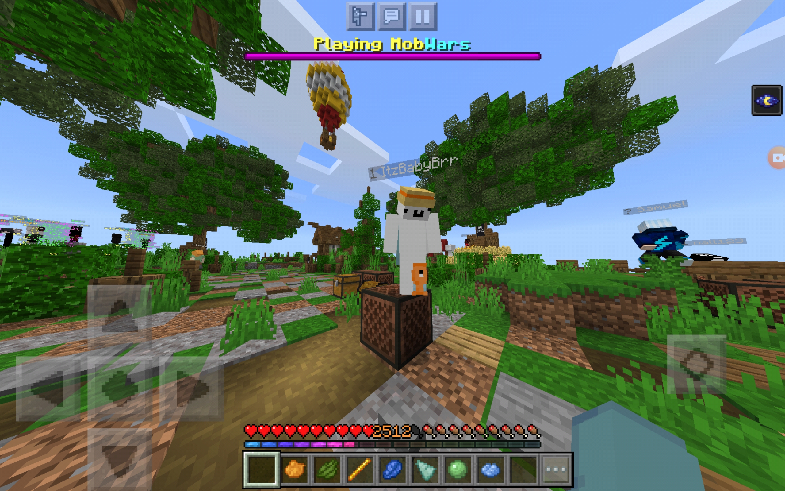 Screenshot_20200803-191206_Minecraft.jpg
