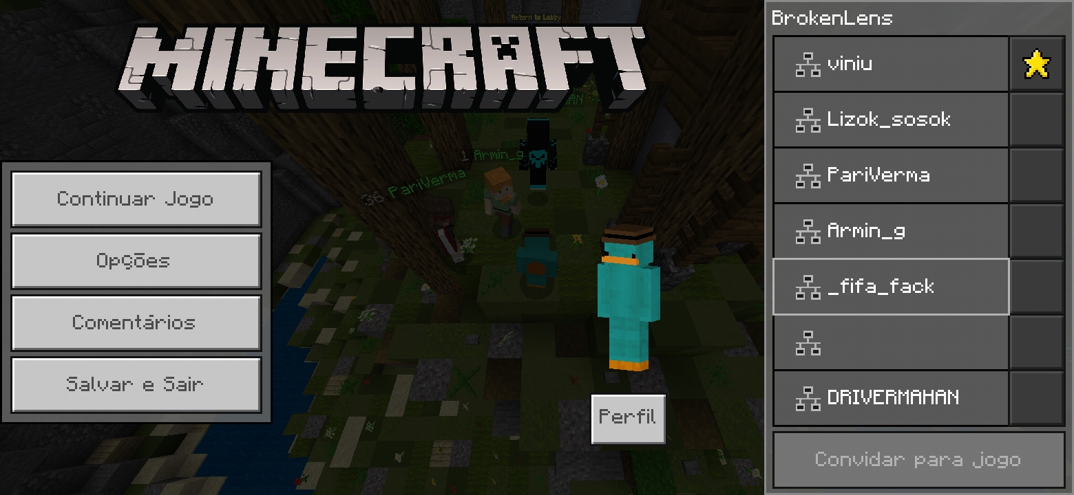 Screenshot_20200807-114046_Minecraft.jpg