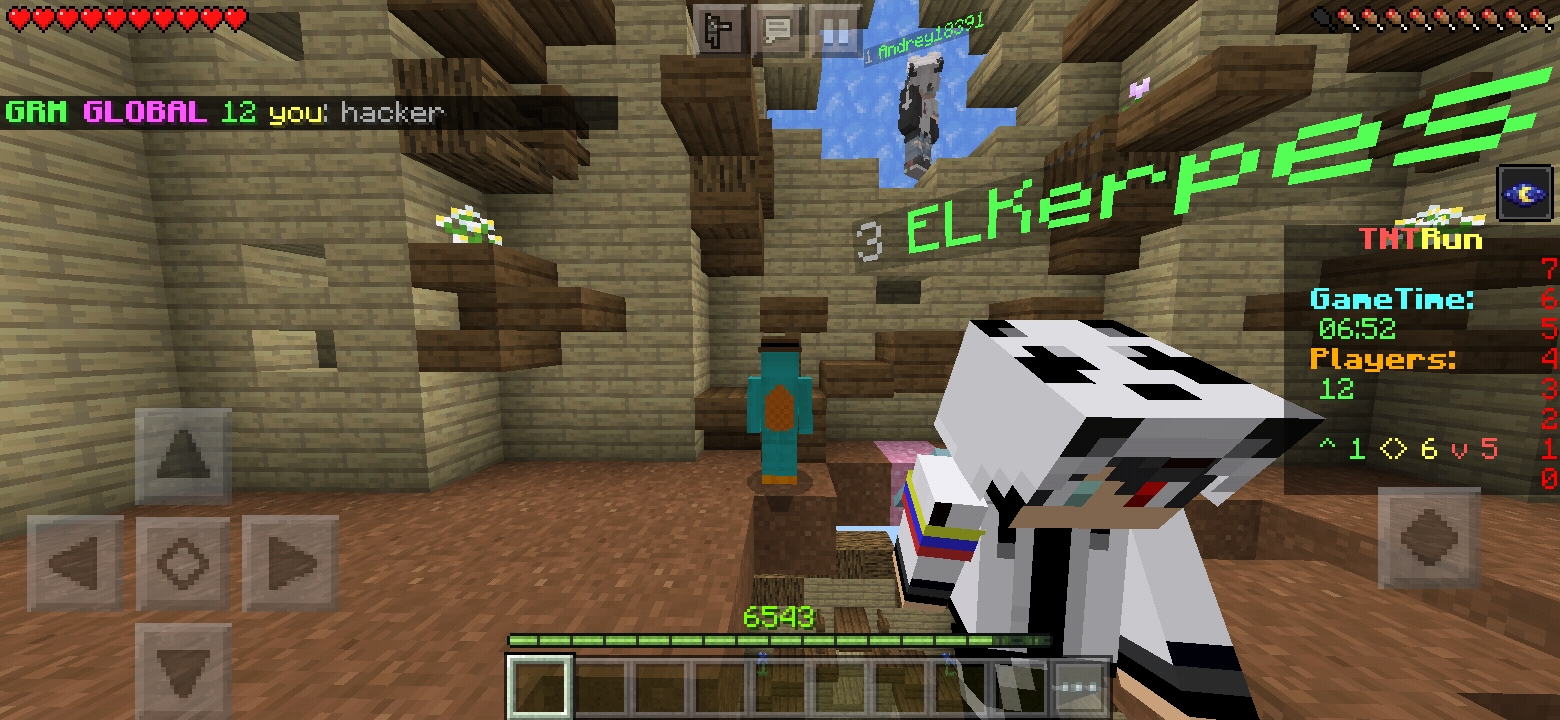 Screenshot_20200807-184834_Minecraft.jpg