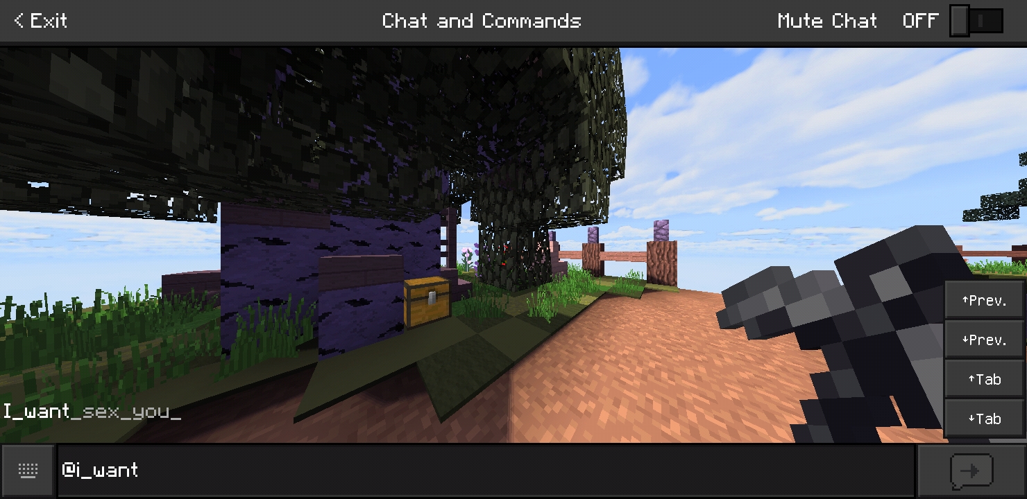 Screenshot_20200915-123459_Minecraft.jpg