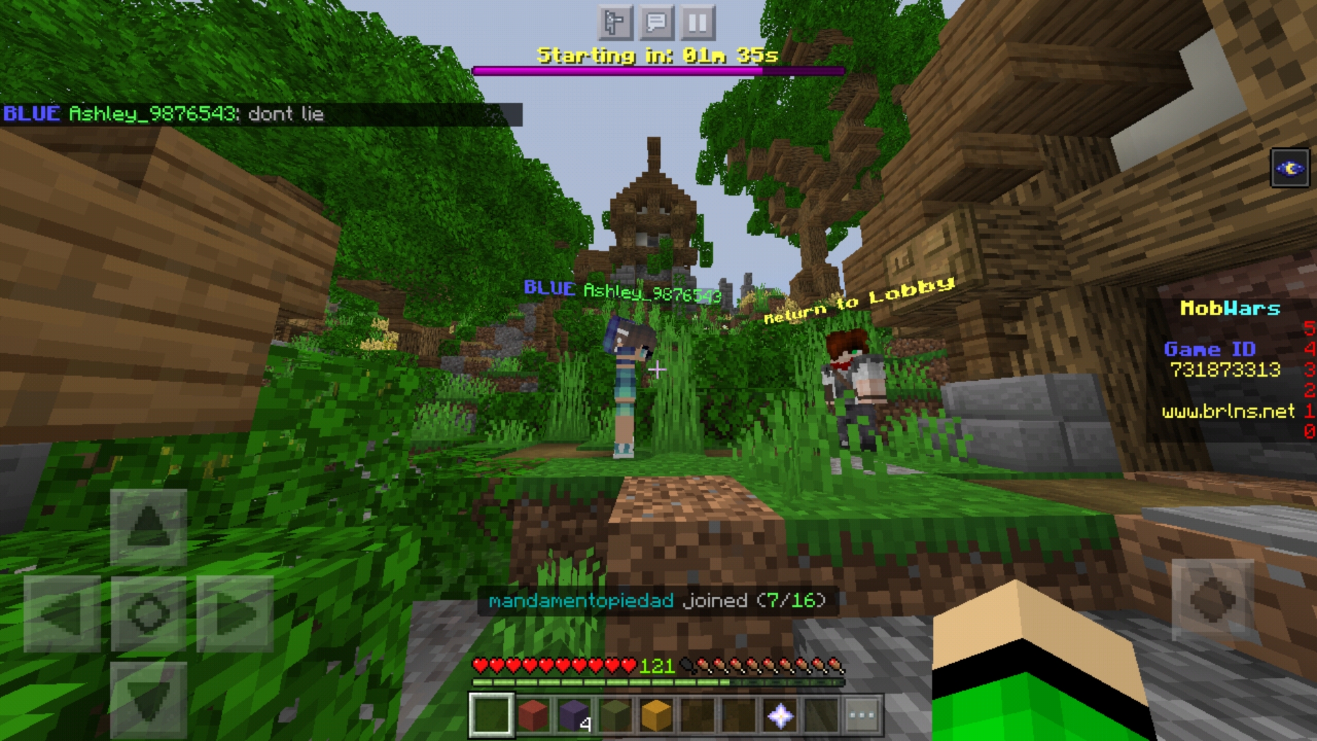 screenshot_20200917_231629_com-mojang-minecraftpe-jpg.247523